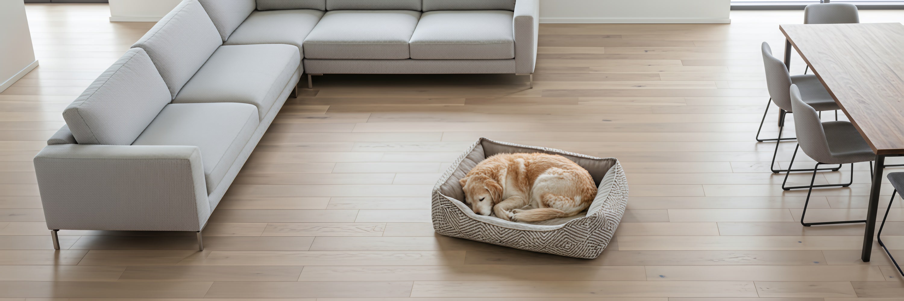 Orthopedic Beds