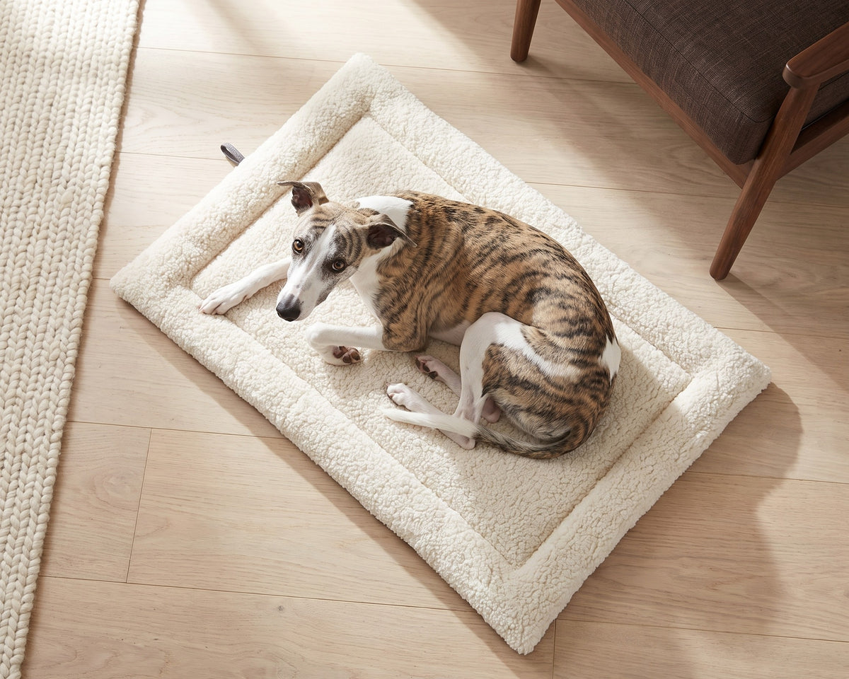 Whippet lying on the Cosmopolitan Mat with the Ivory Sheepskin side up, seen from above
