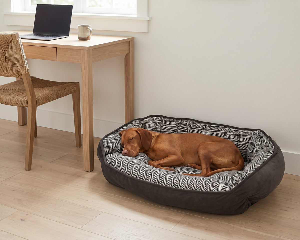Vizsla asleep in the Crescent Reversible Bed with the Herringbone side in, beside a desk in a home office