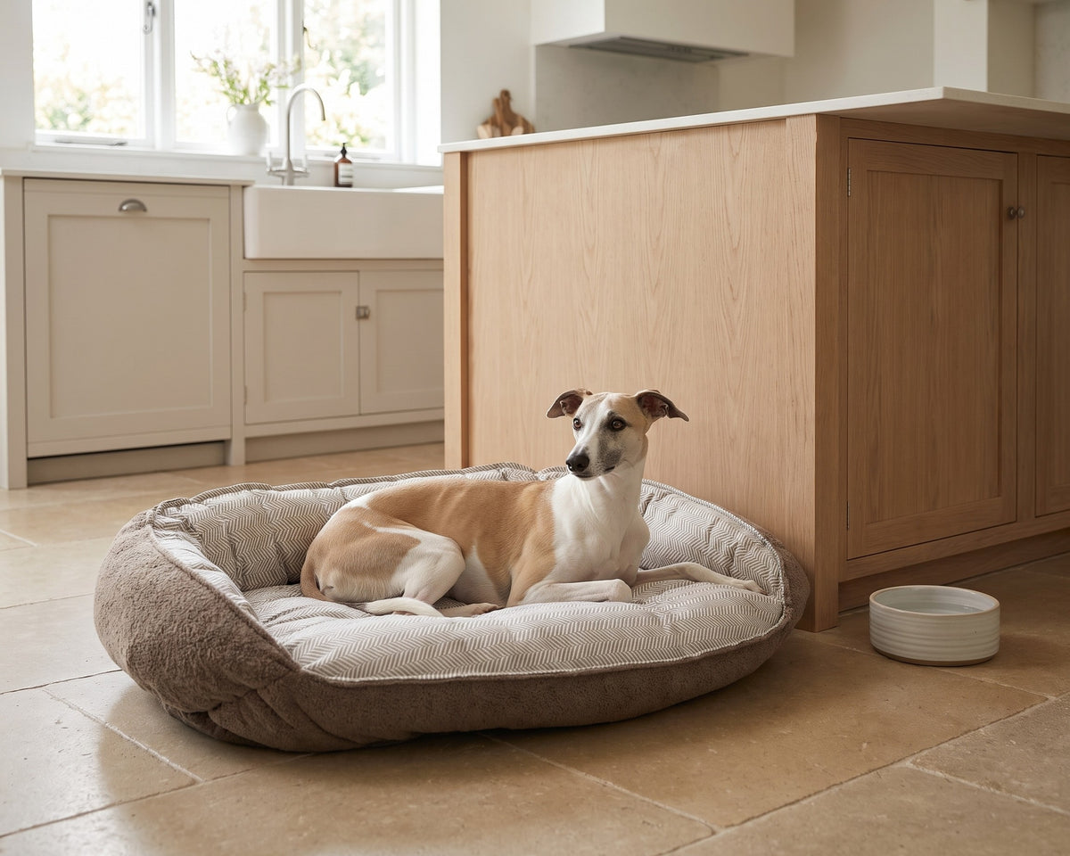 Whippet lying in the Crescent Reversible Bed with the Taupe Herringbone side in, beside a kitchen island