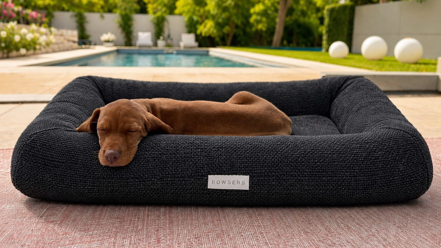 Hugo Futon