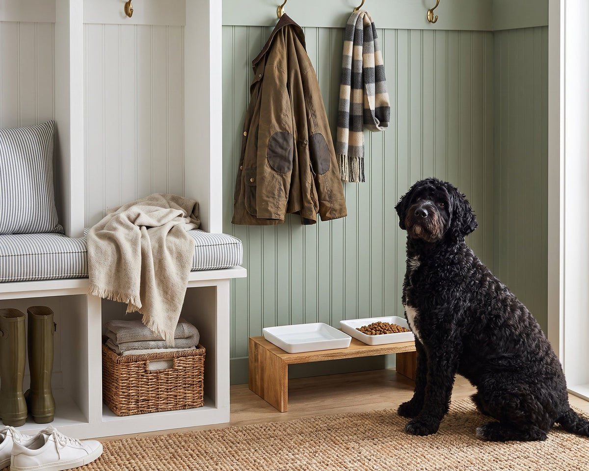 Portuguese Water Dog sitting beside the Double Artisan Wood Feeder in Bamboo in a mudroom