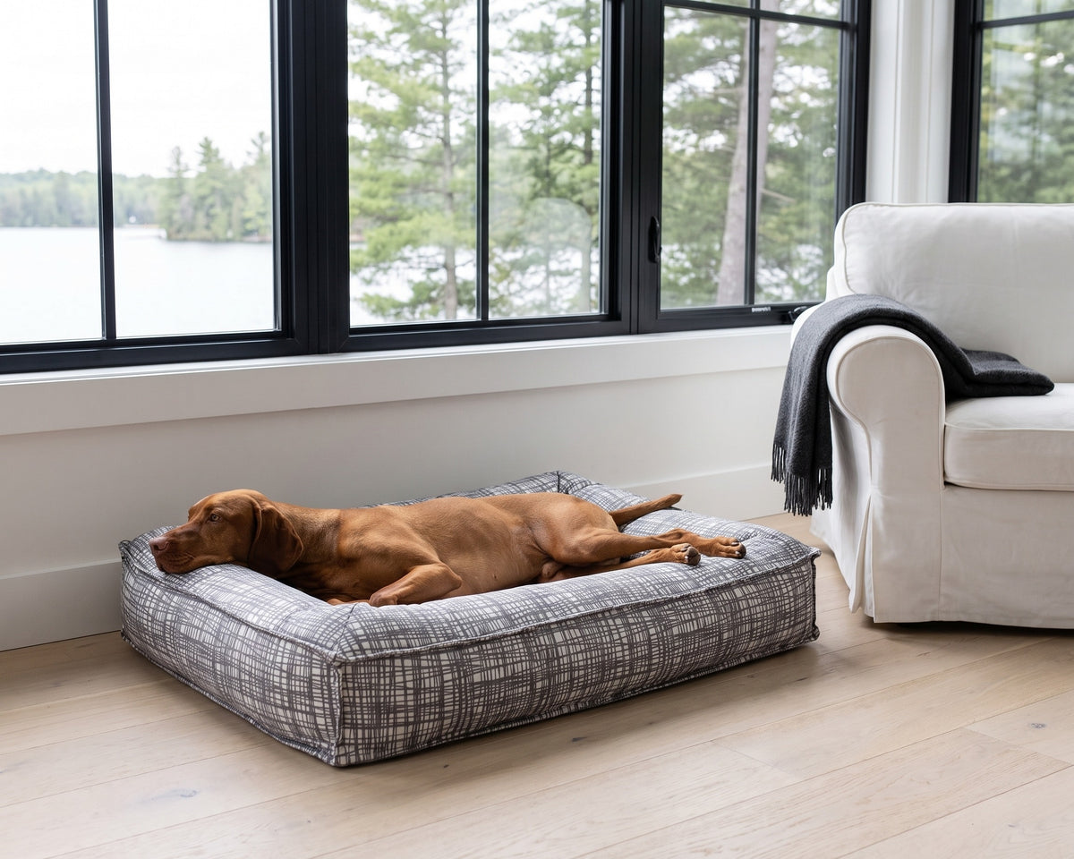 Vizsla resting in the Divine Futon in Tribeca under lake-view windows in a cottage sunroom