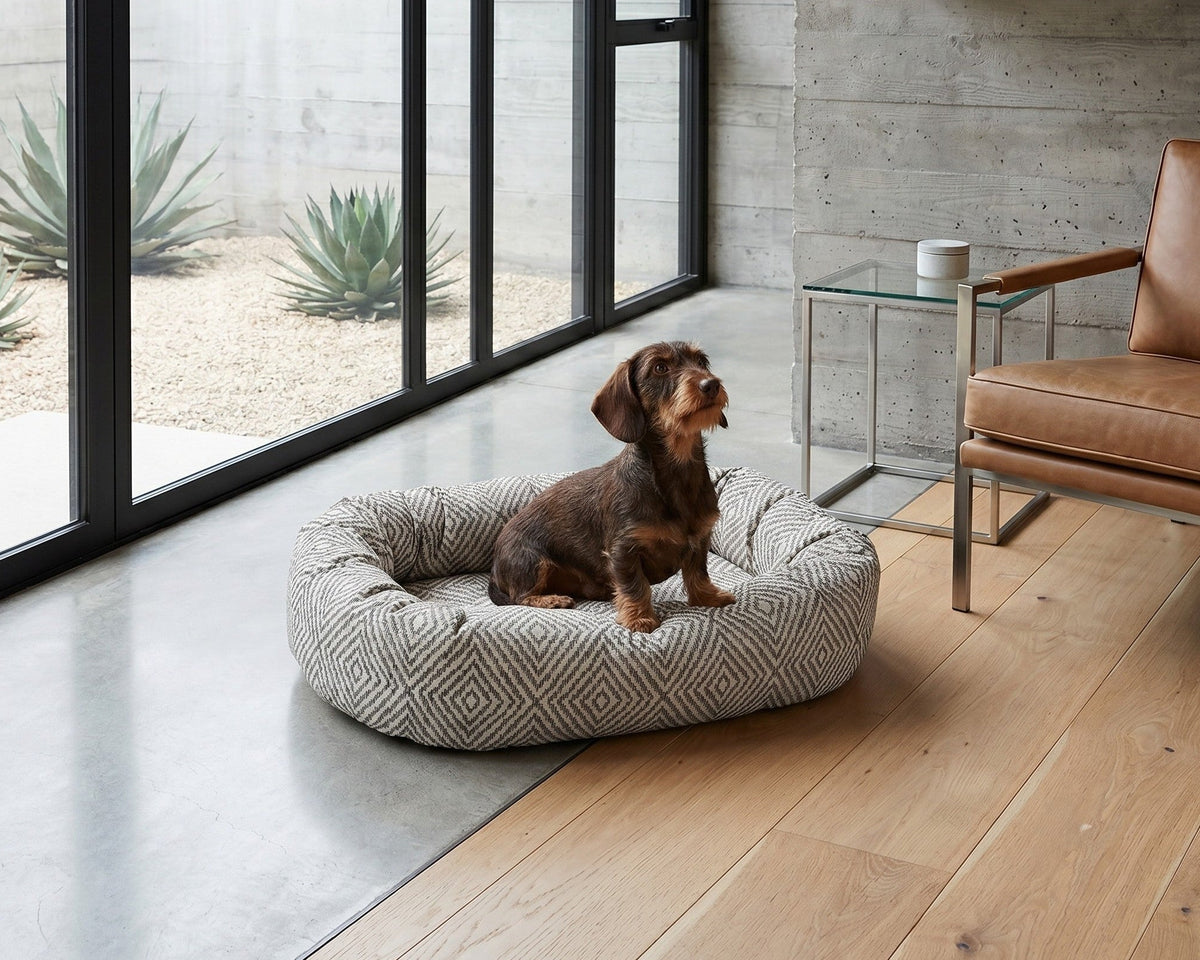 Small Dog in Donut Bed