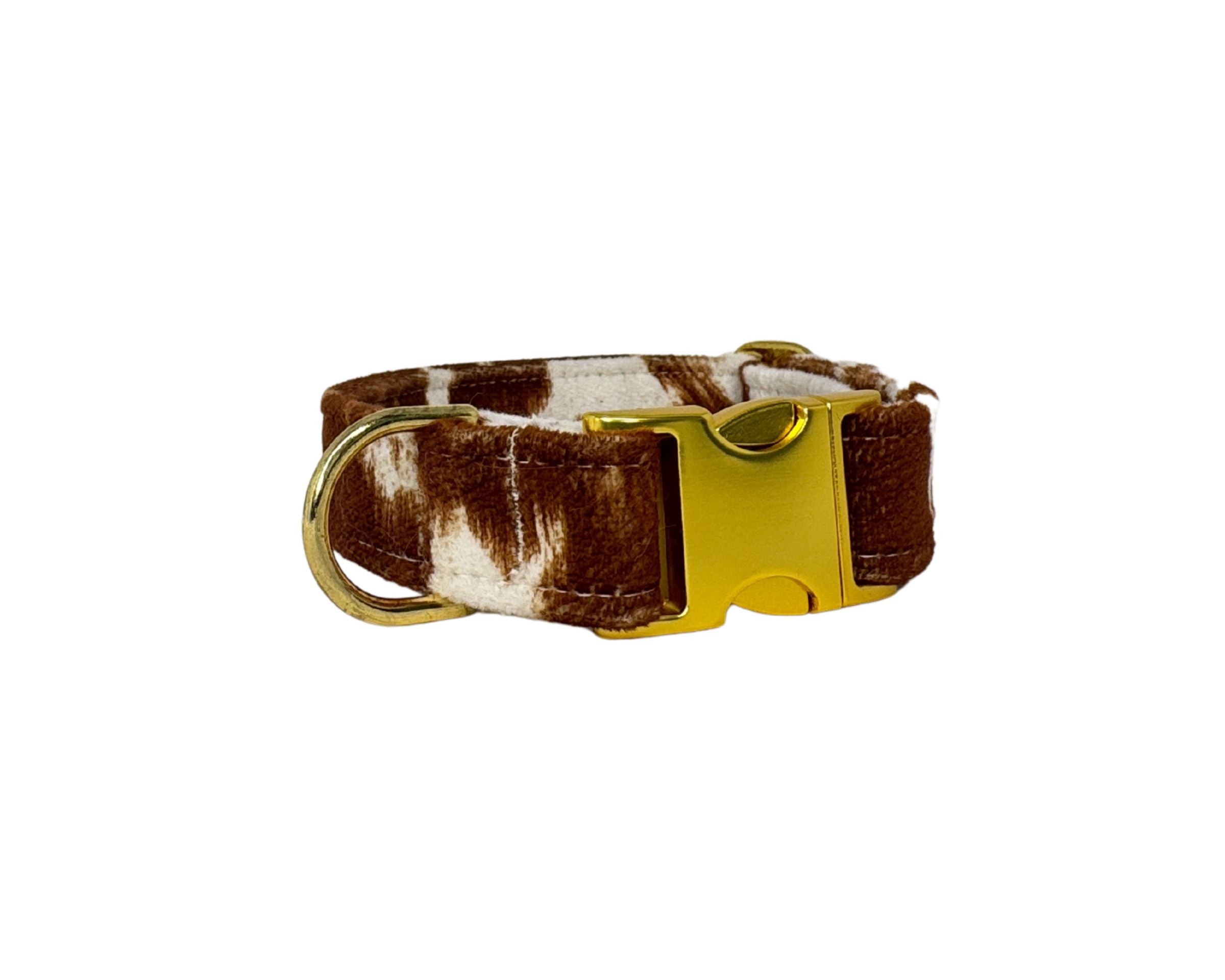 Designer Buckle Collar