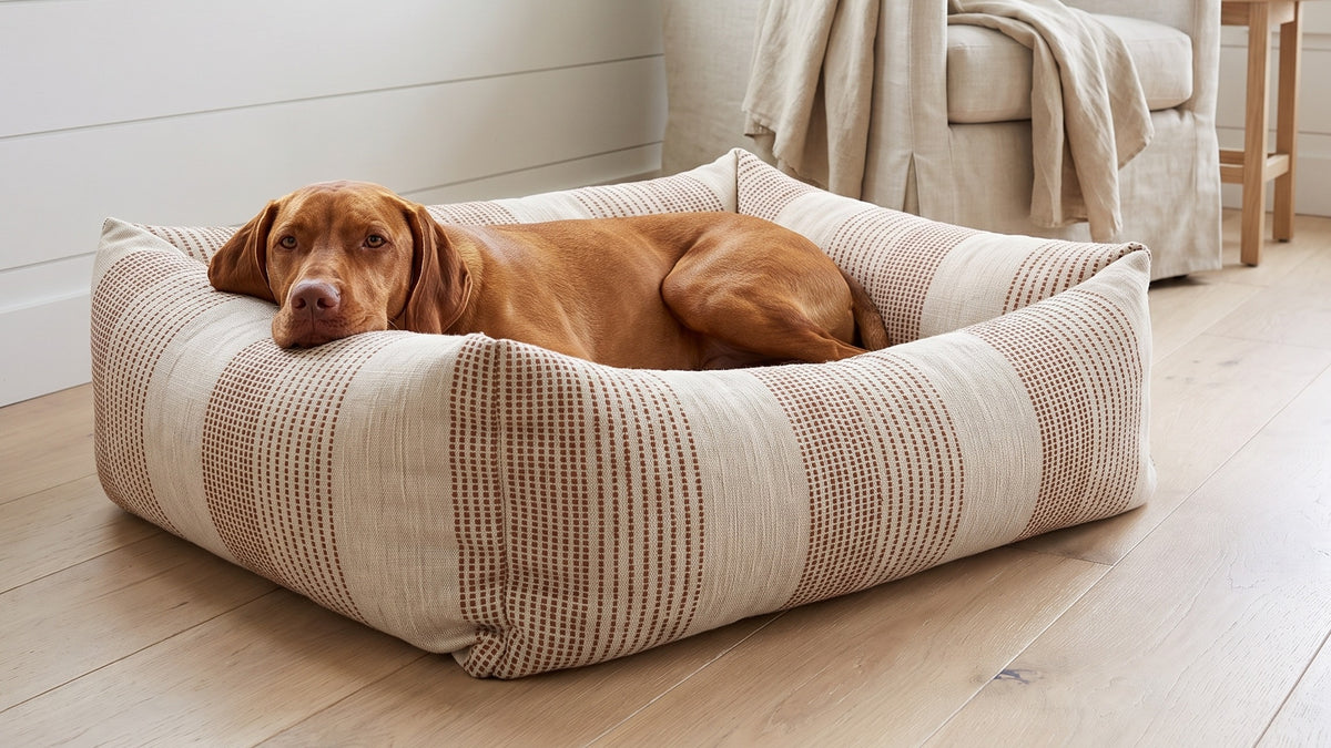 Vizsla resting in The Franklin cushioned dog bed in Seashell striped linen beside a slipcovered armchair in a bright Hamptons sitting room.