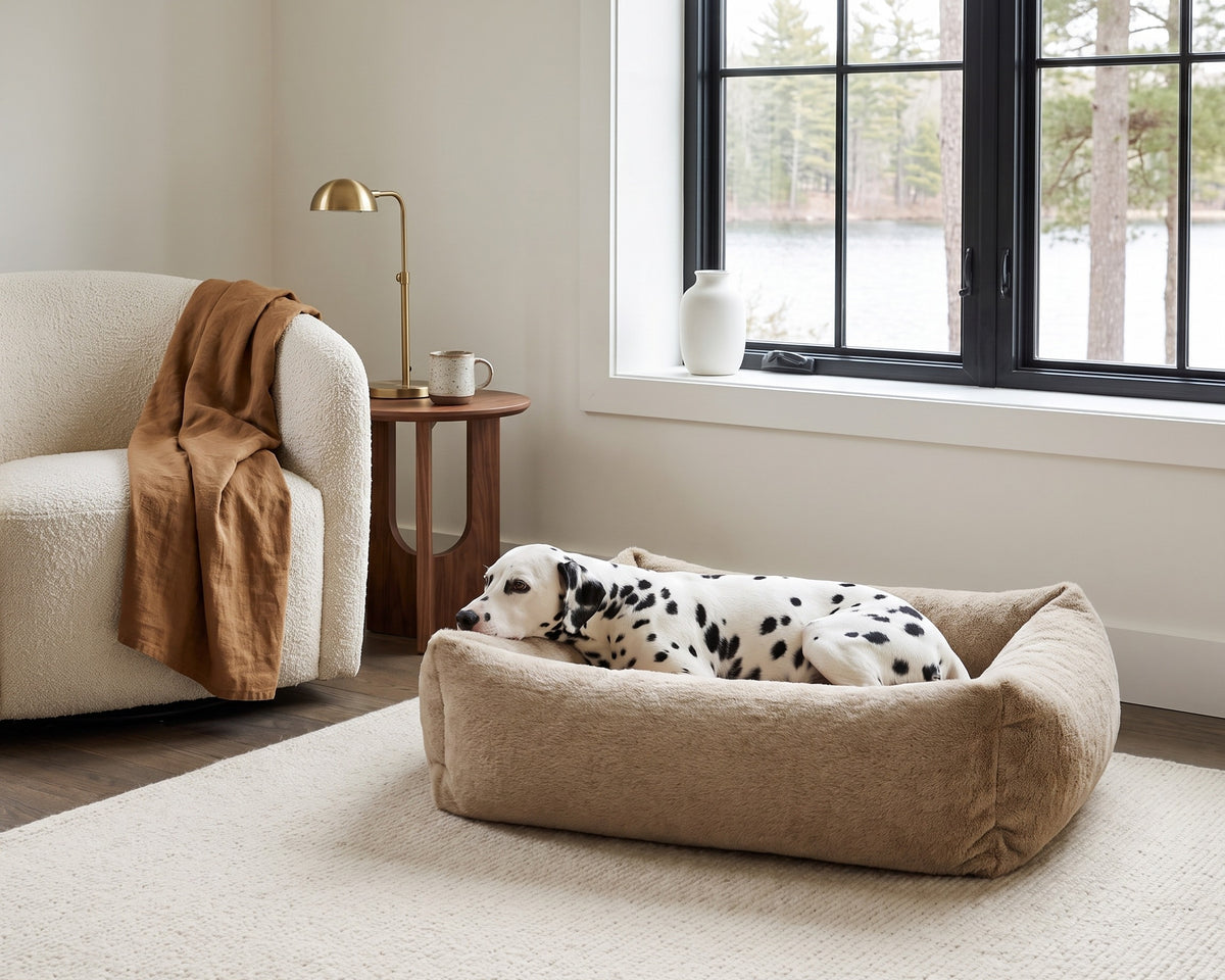 Dalmatian resting in The Franklin faux fur dog bed in Fawn on a cream wool rug beside a boucle armchair and a lake-view window in a modern cottage reading corner.