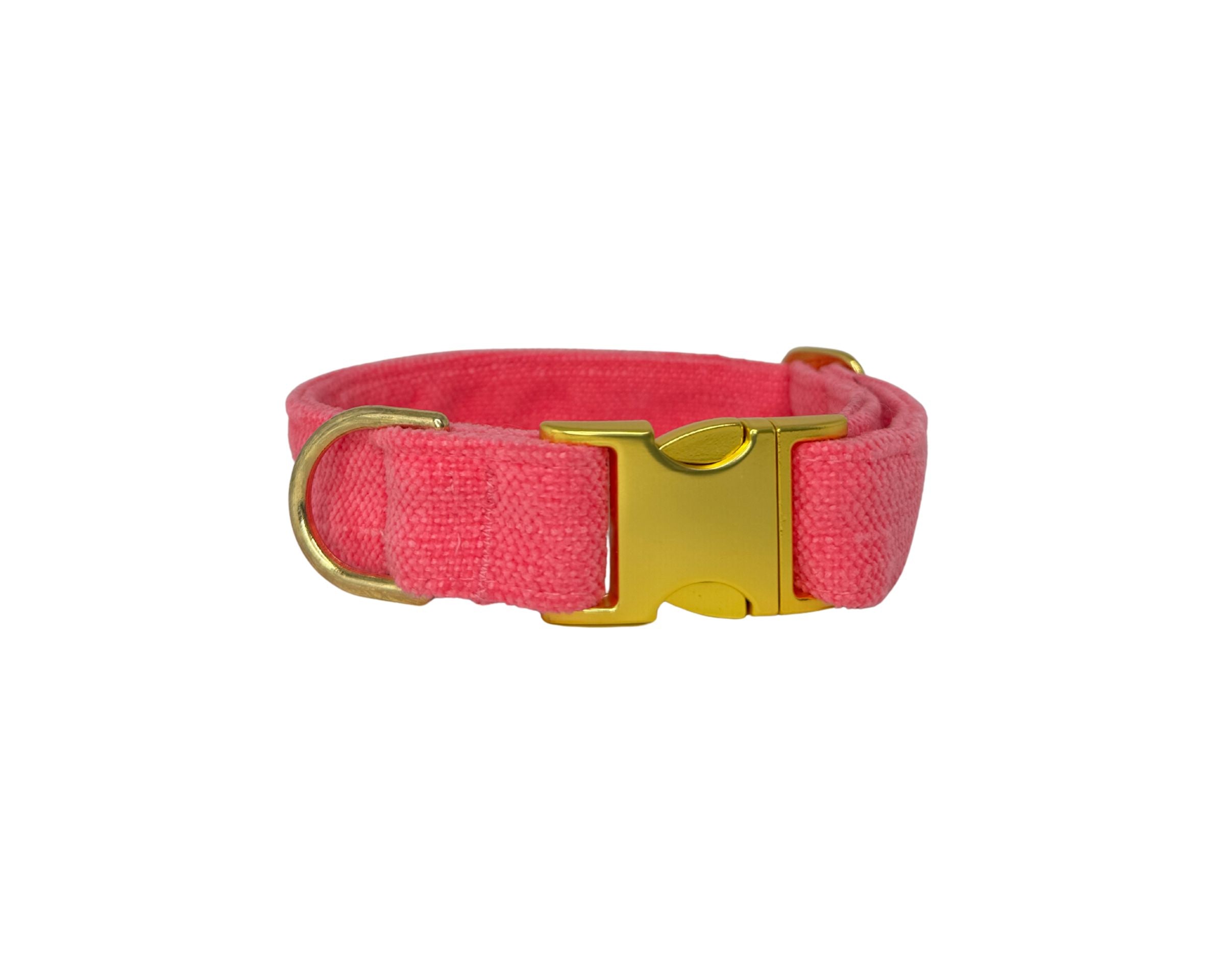 Designer Buckle Collar