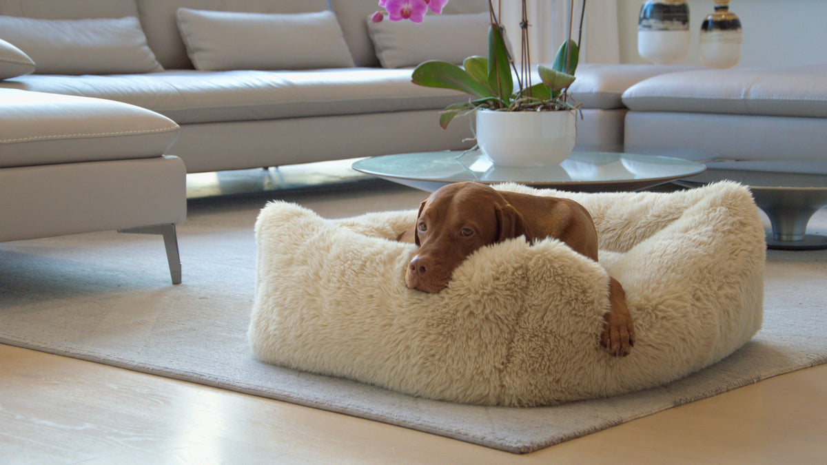 The Franklin - Faux Fur