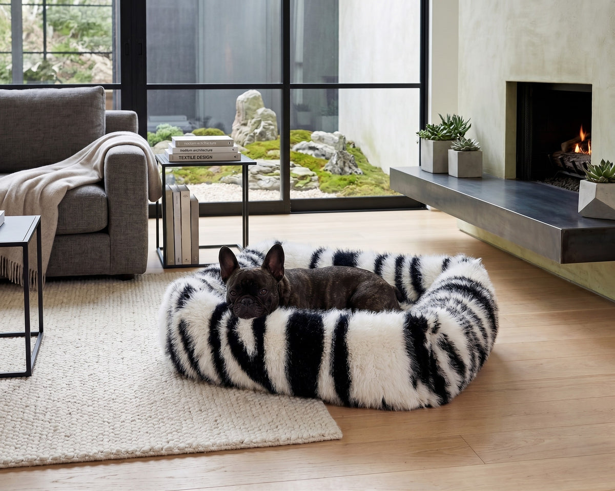 French BD on Franklin Fur