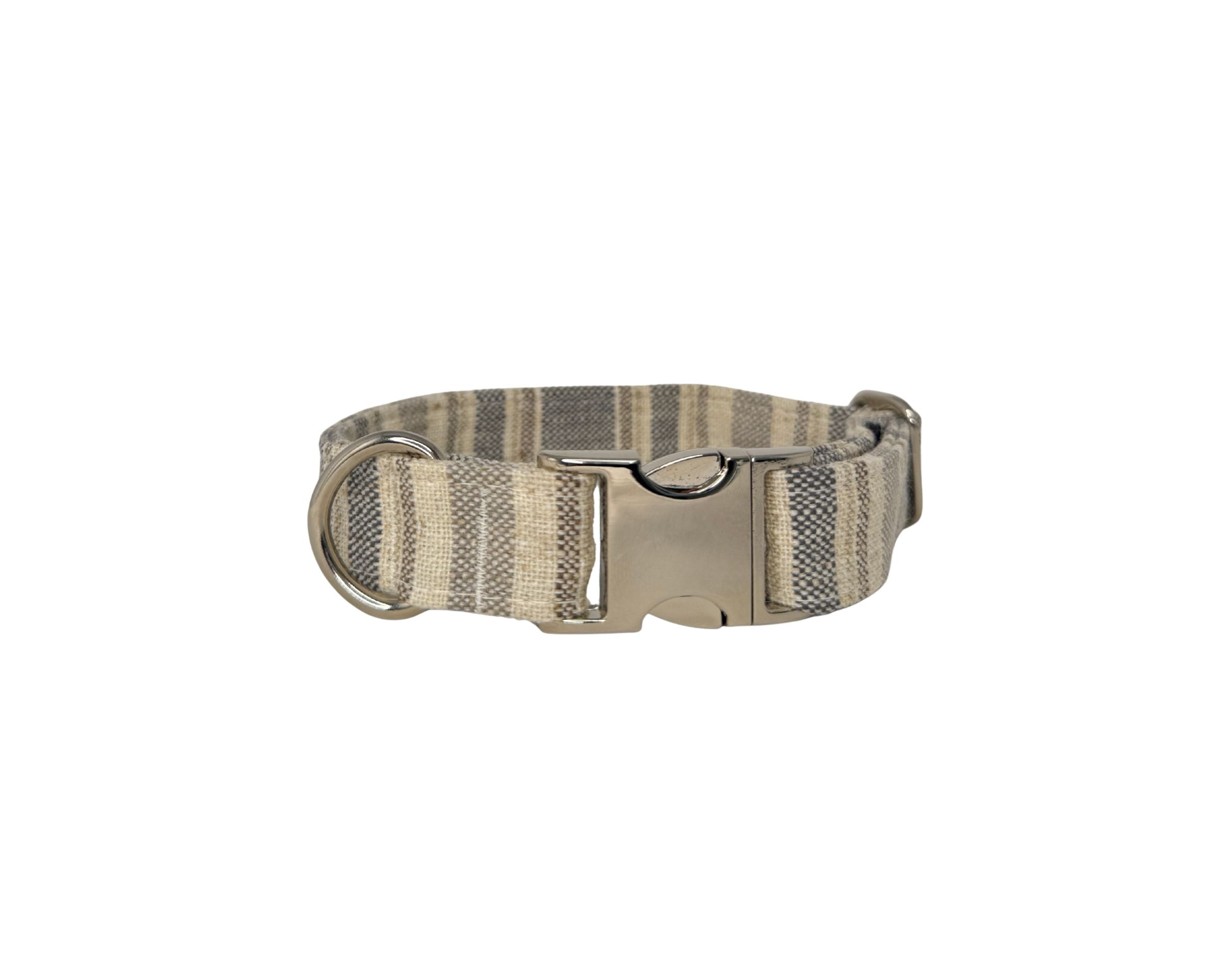 Designer Buckle Collar