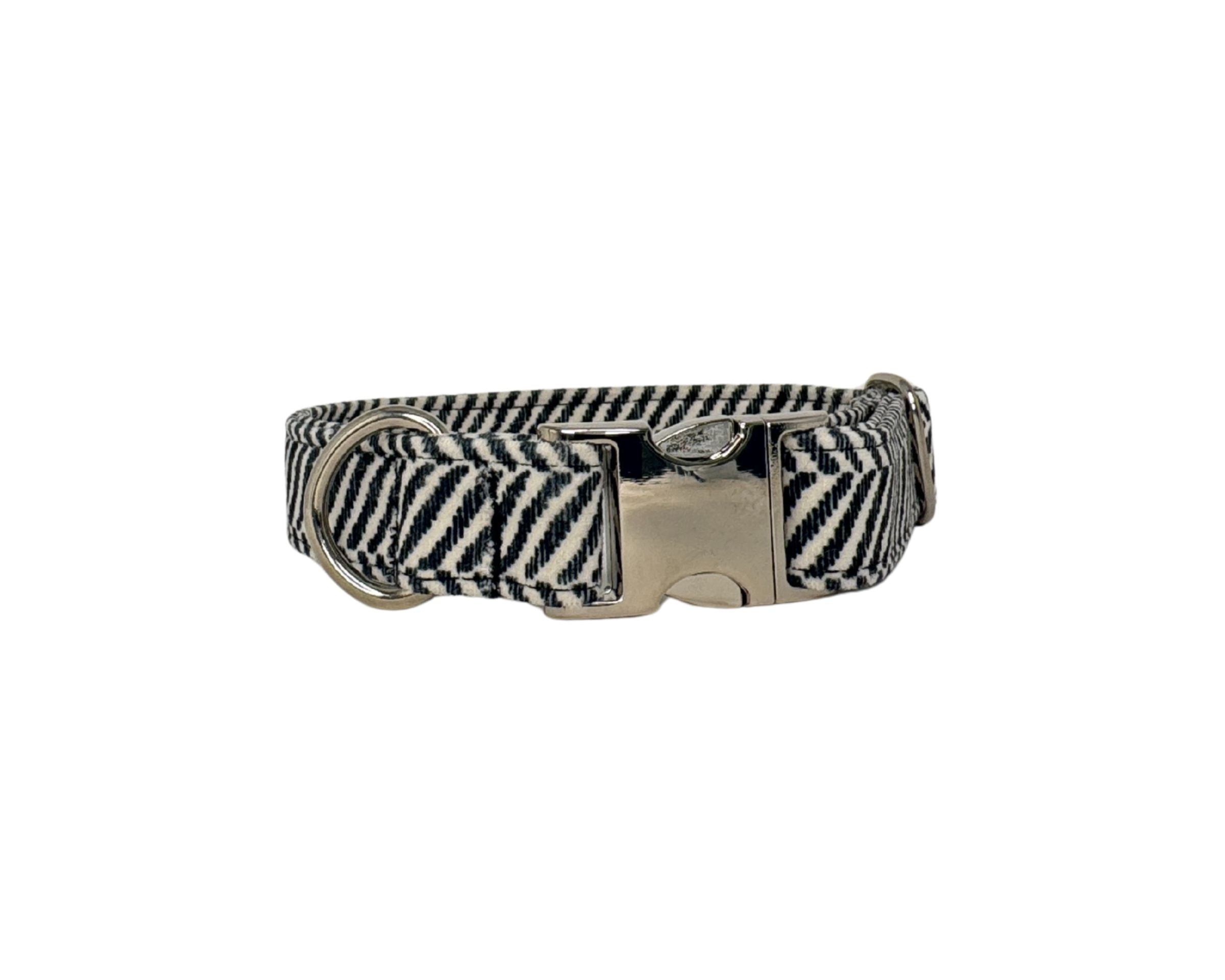 Designer Buckle Collar