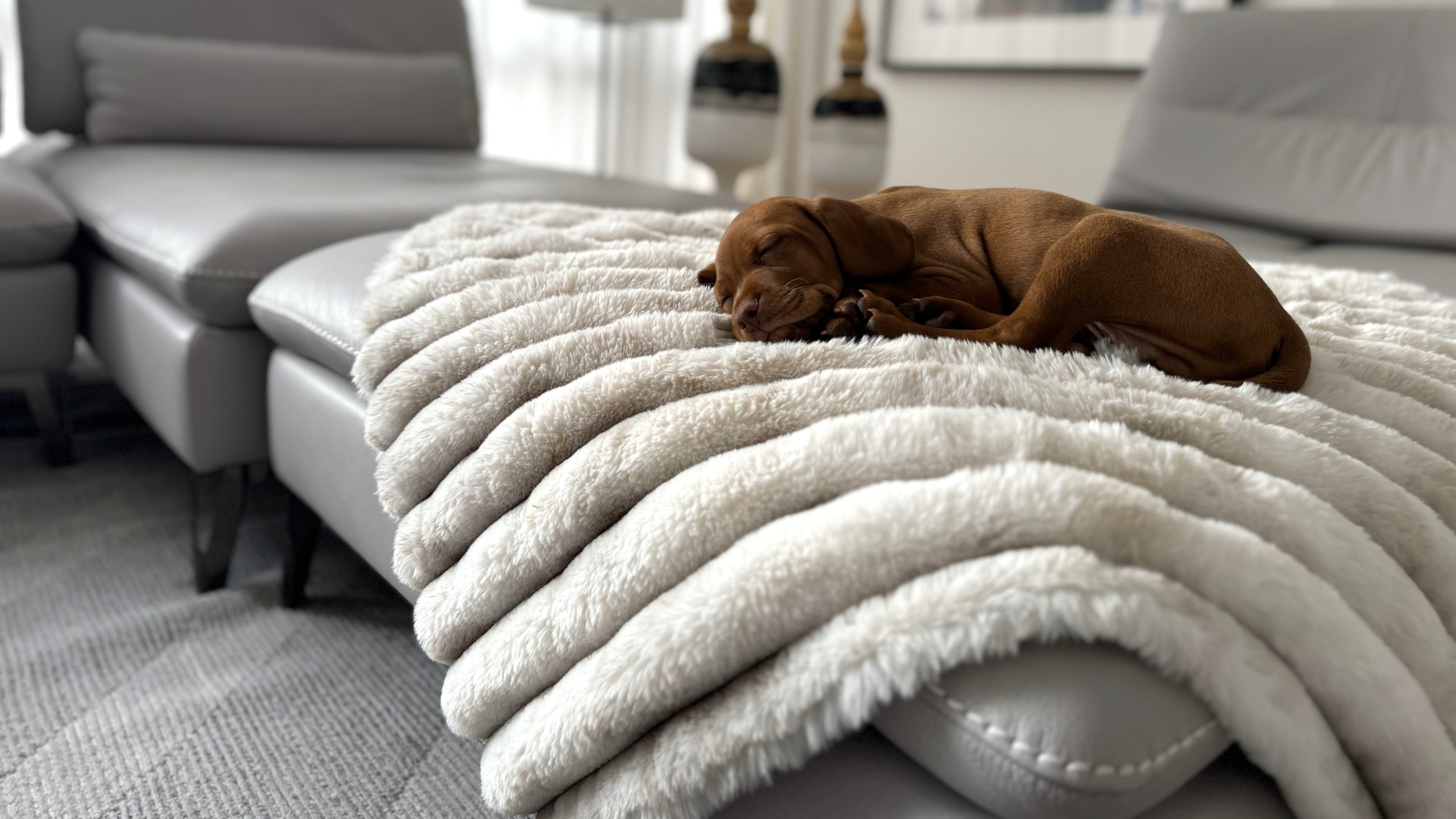 Blanket Topper