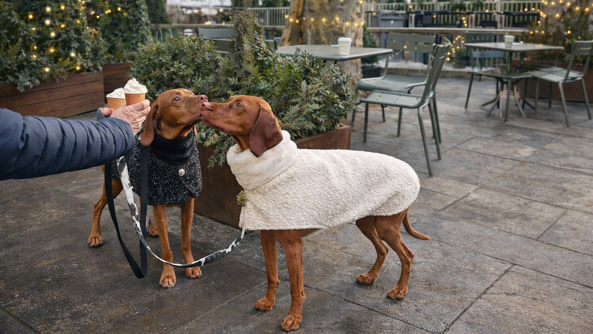 Manhattan Walking Coats