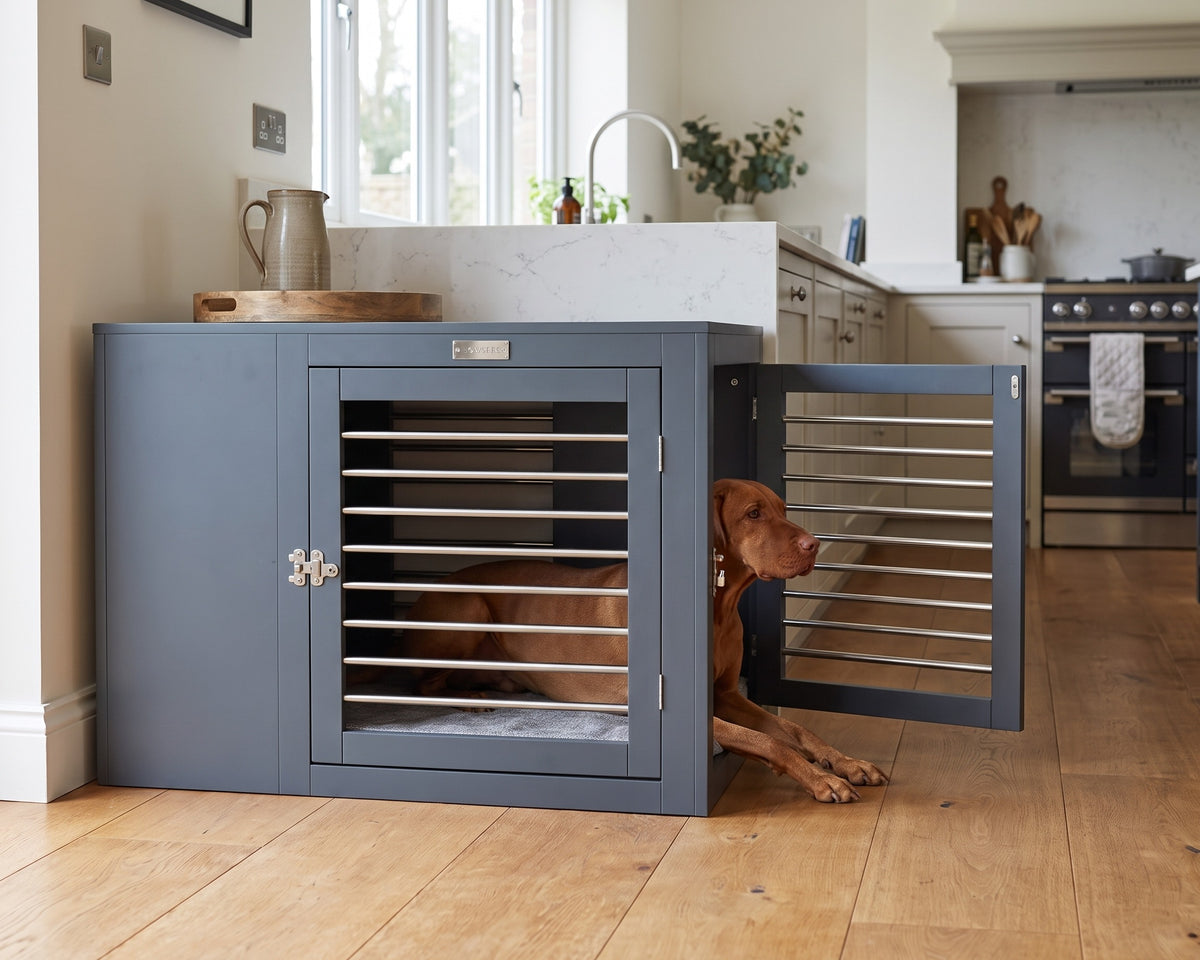 Vizsla looking out of the open end door of the Moderno Crate in Grey beside a kitchen island