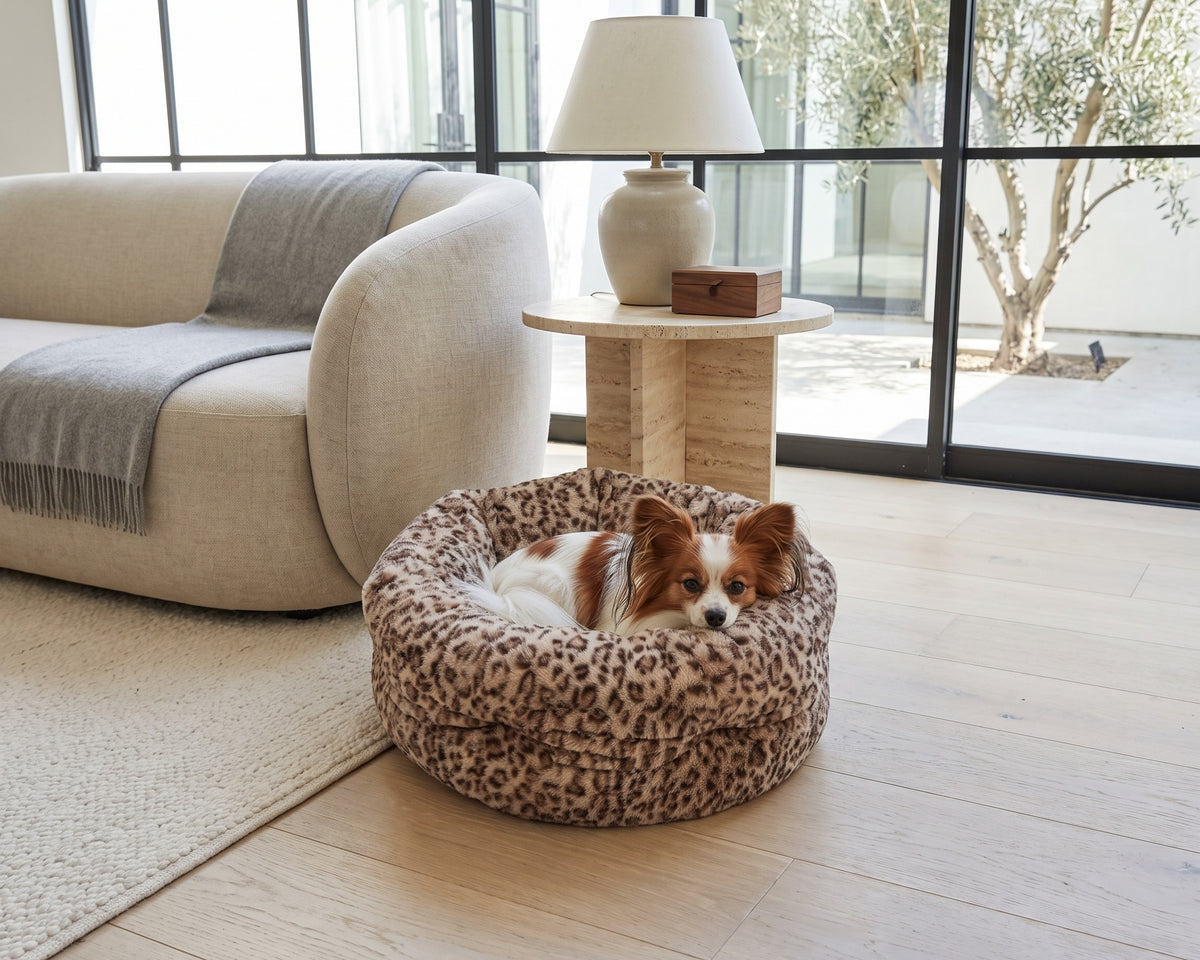 Papillon curled in a Leopard Muffy nest bed beside a linen sofa in a bright modern sitting room