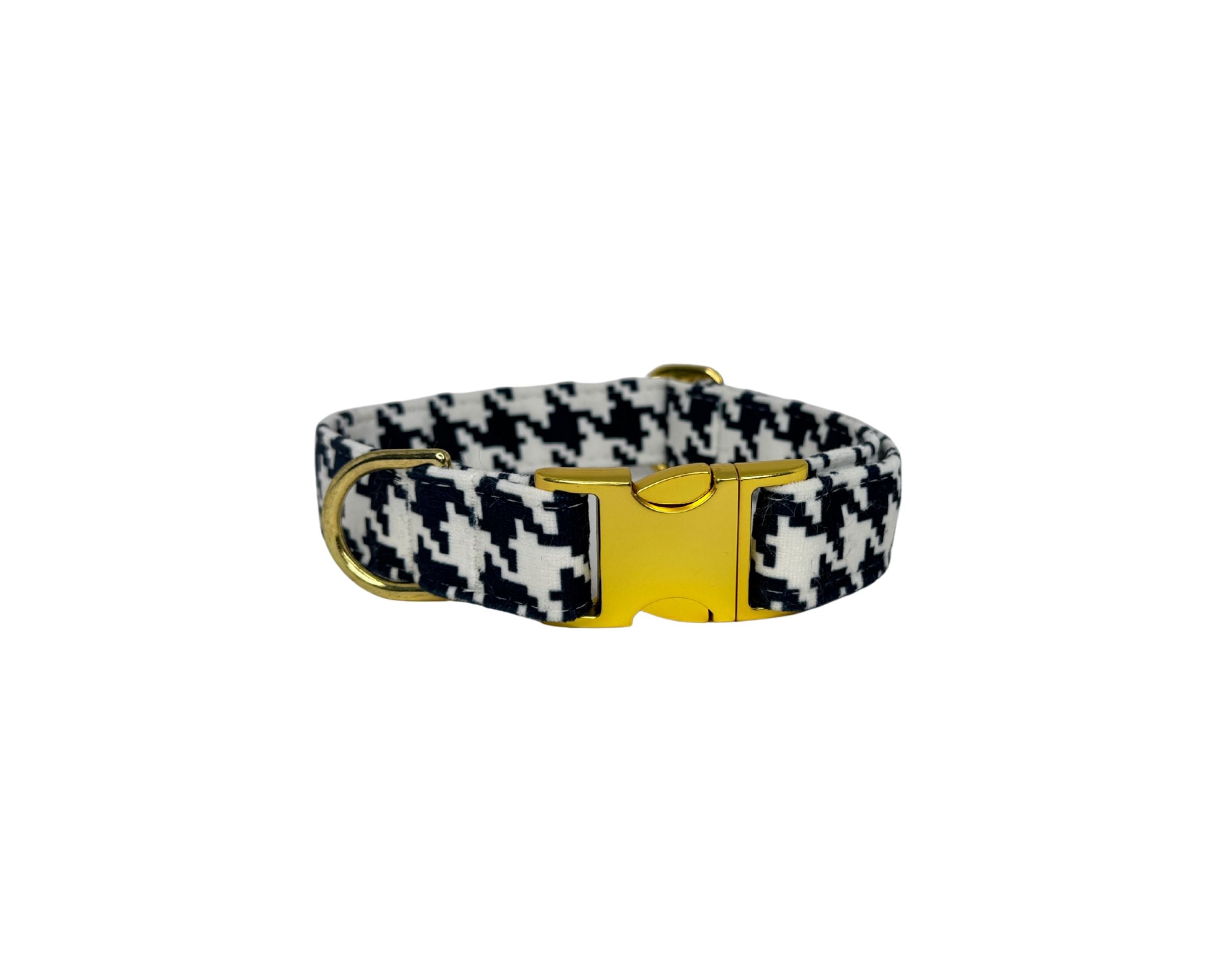 Designer Buckle Collar