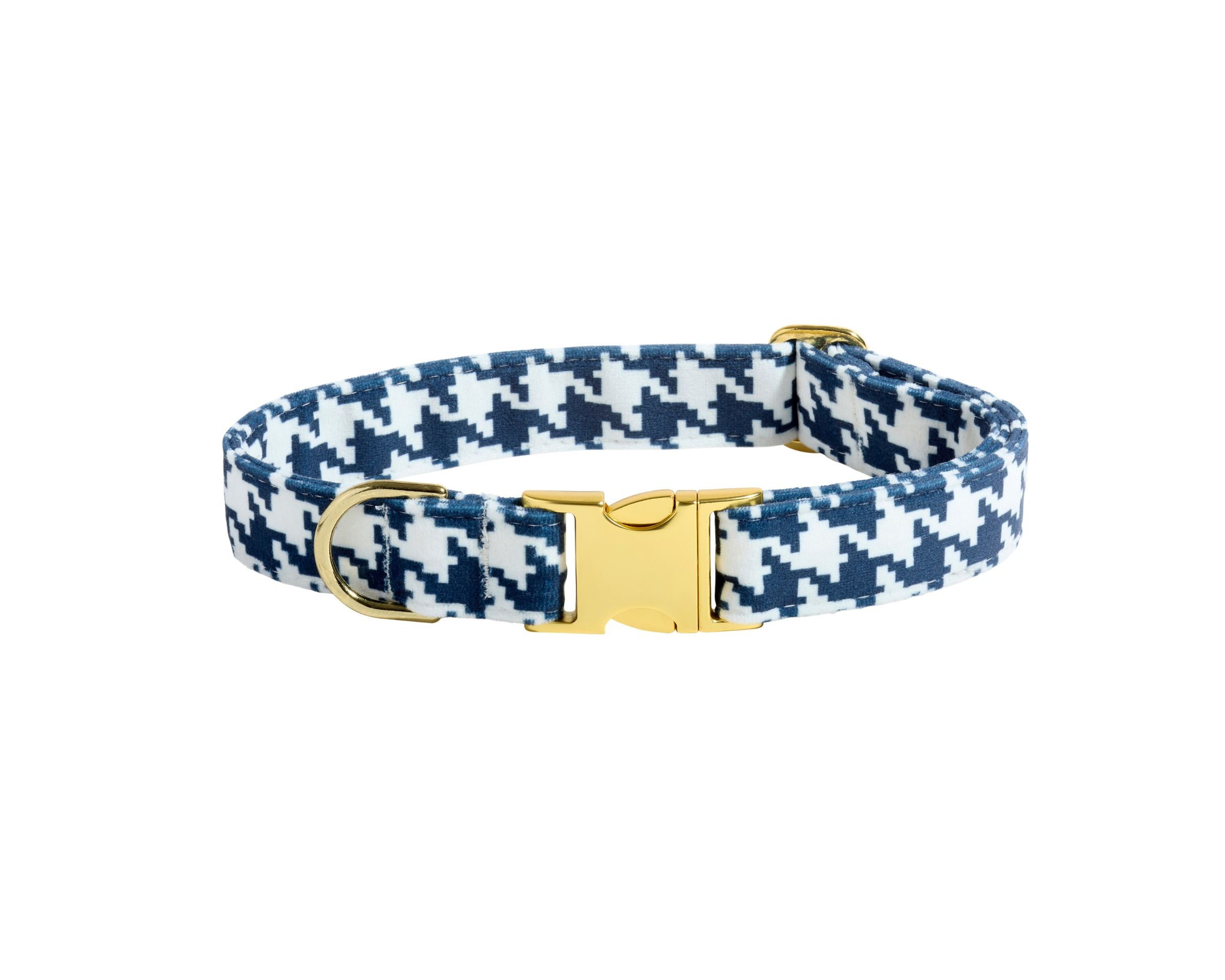 Designer Buckle Collar