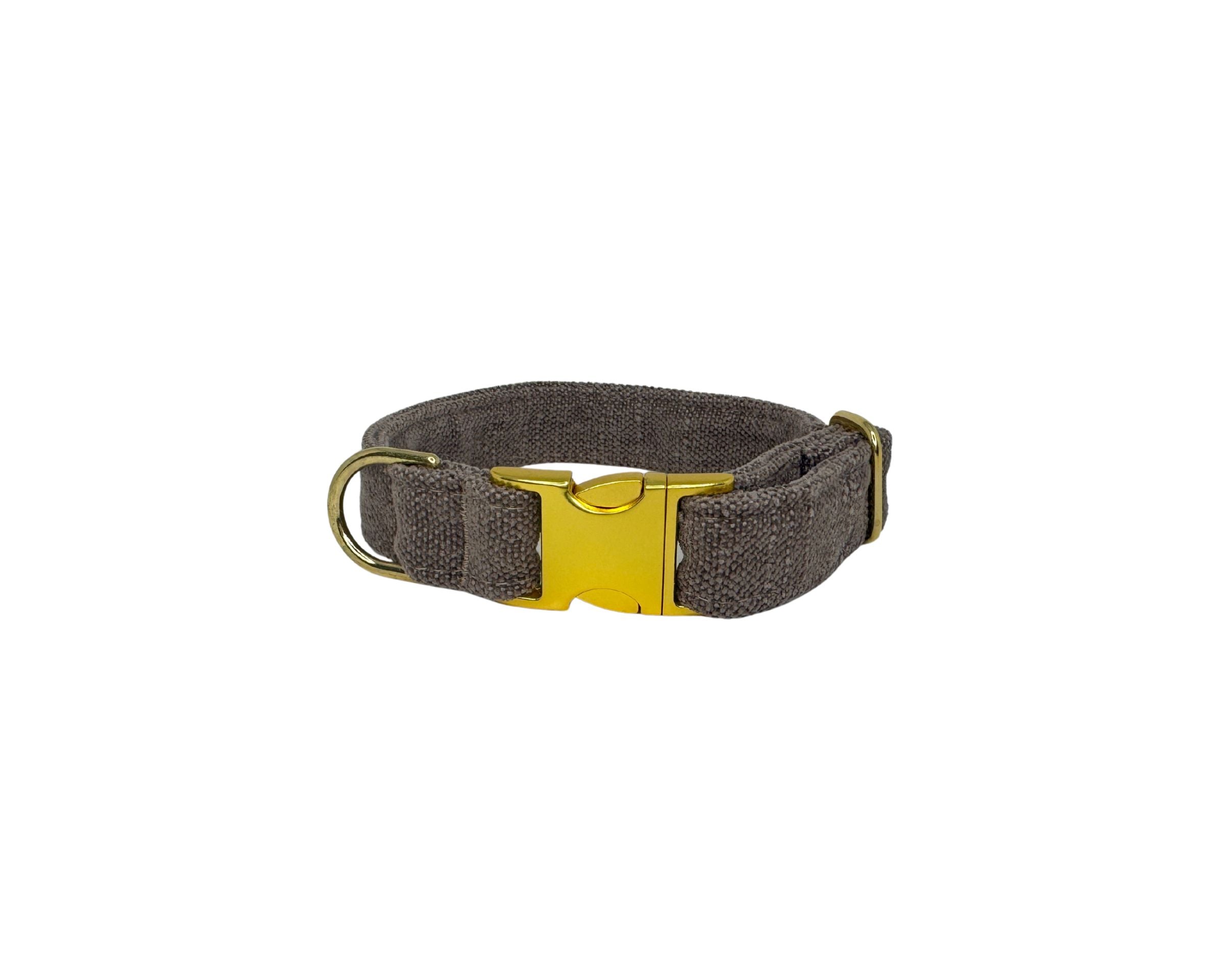 Designer Buckle Collar