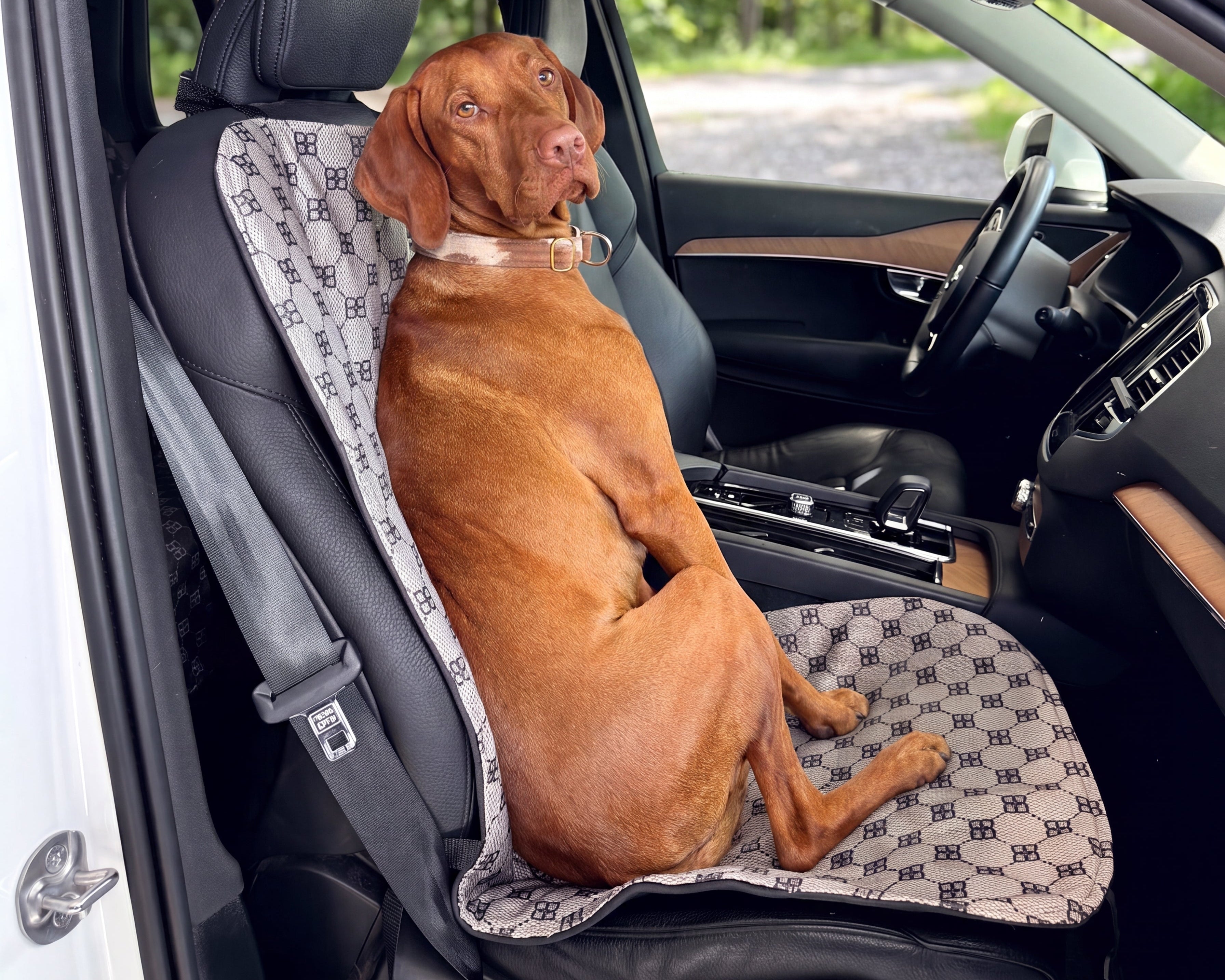 Single Car Seat Cover