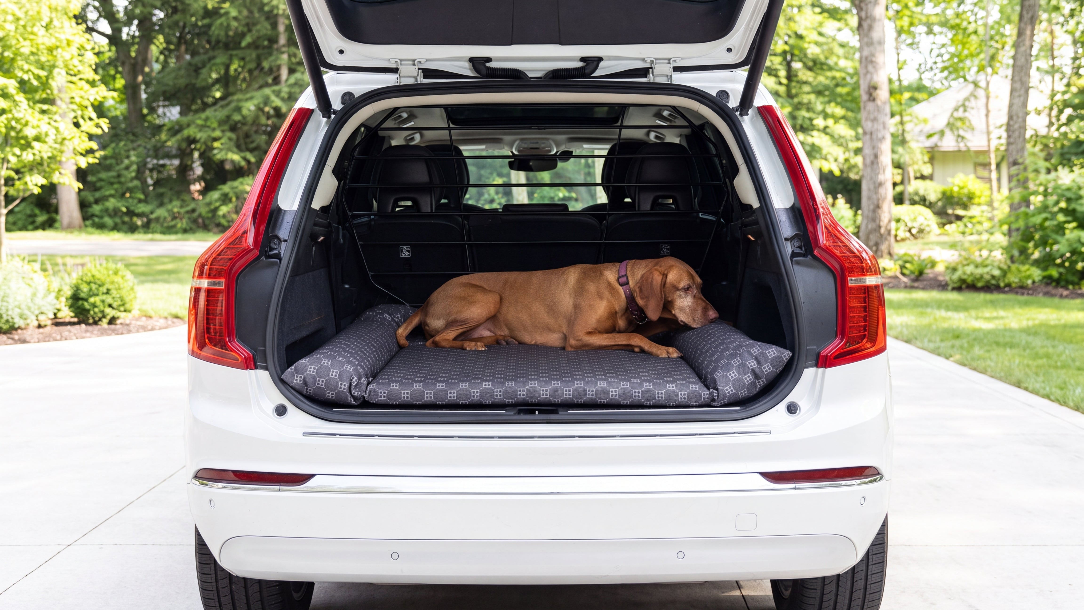 SUV Cargo Lounger