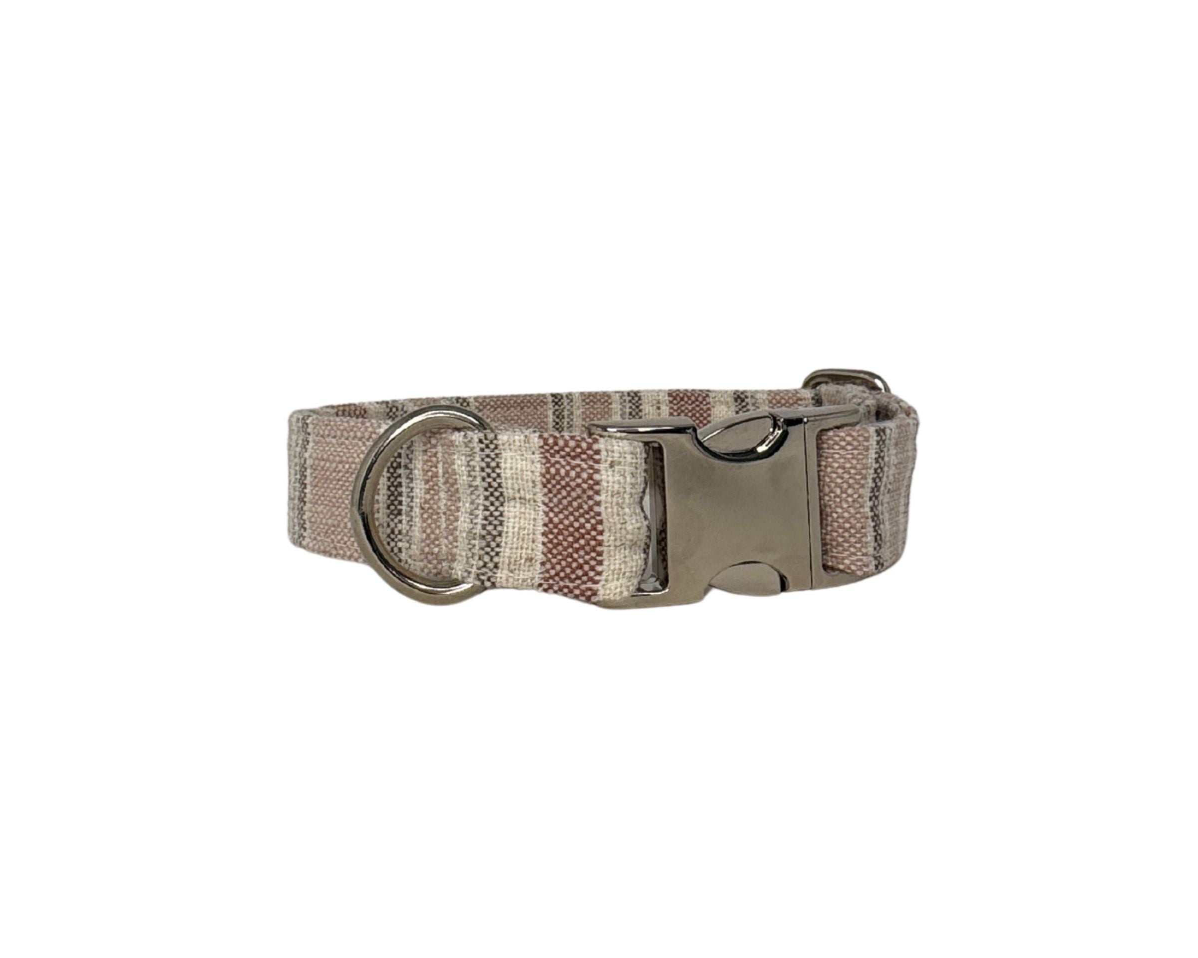 Designer Buckle Collar