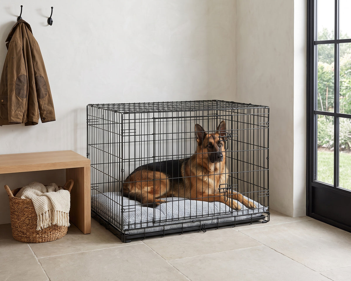 German Shepherd lying on an Arctica Tufted Cushion inside a black wire crate in a modern mudroom