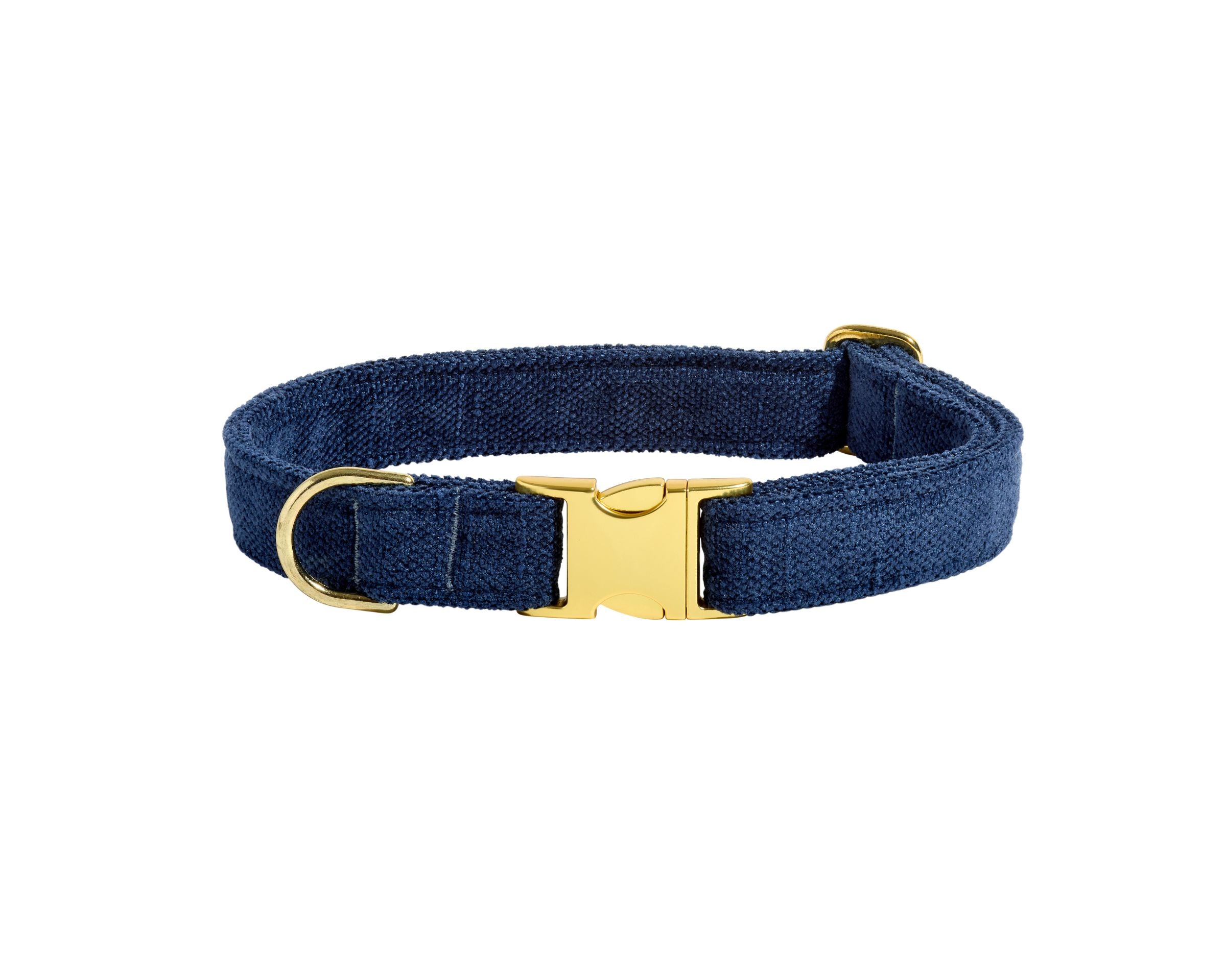 Designer Buckle Collar
