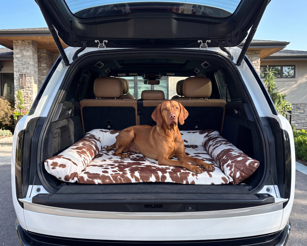 SUV Cargo Lounger