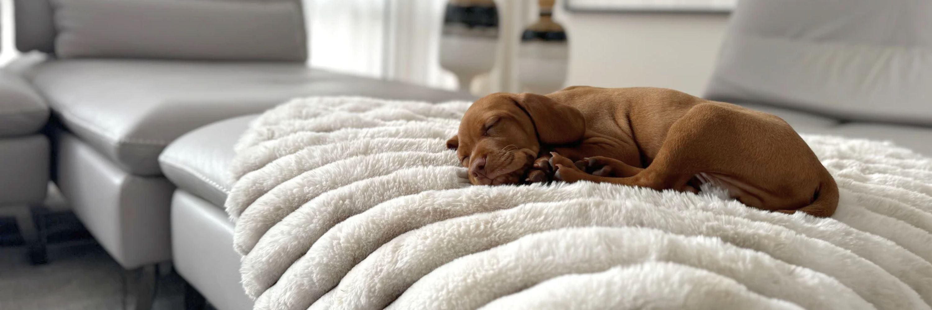 Blankets
