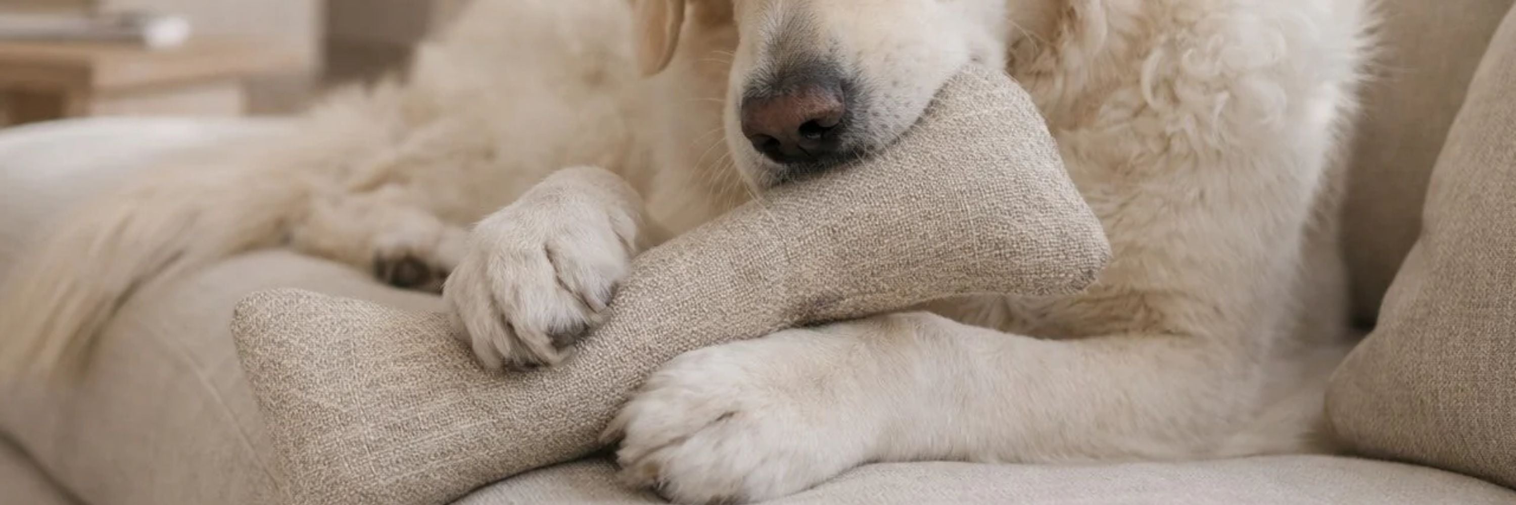 Bumper Bone Pillows