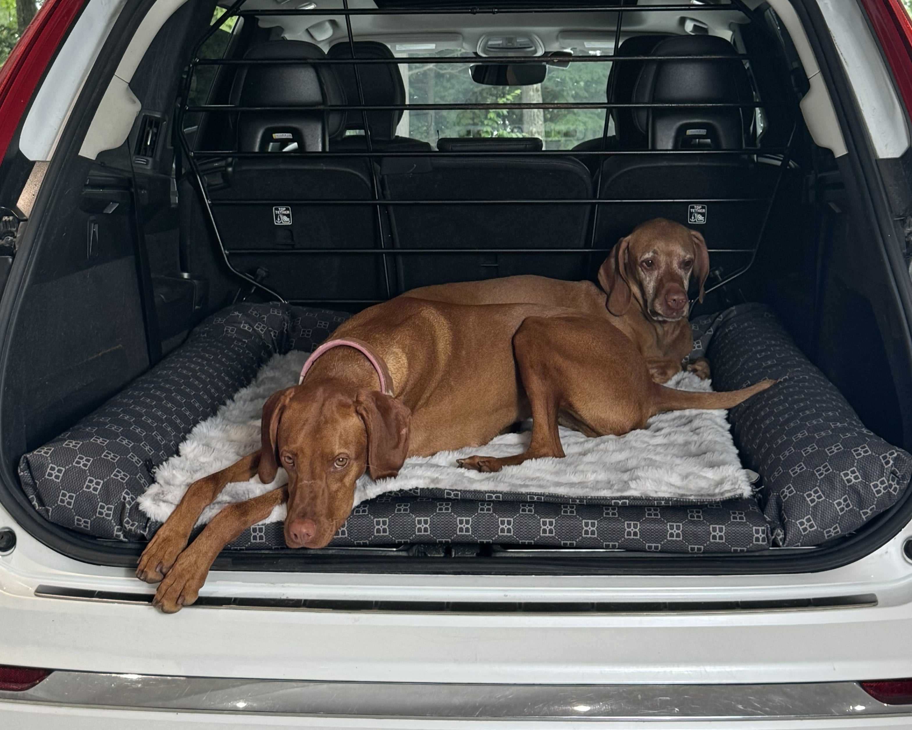 SUV Cargo Lounger Topper