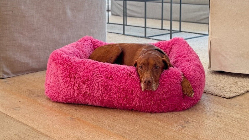 The Franklin - Signature Textures