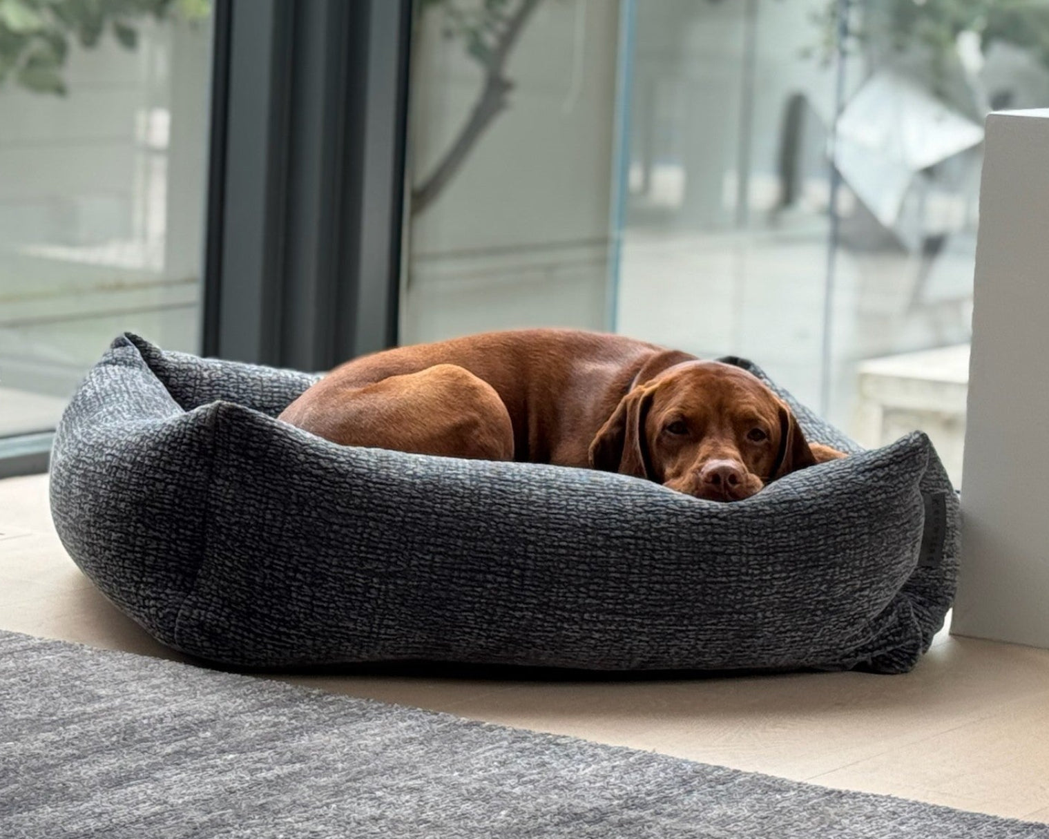 The Franklin - Signature Textures