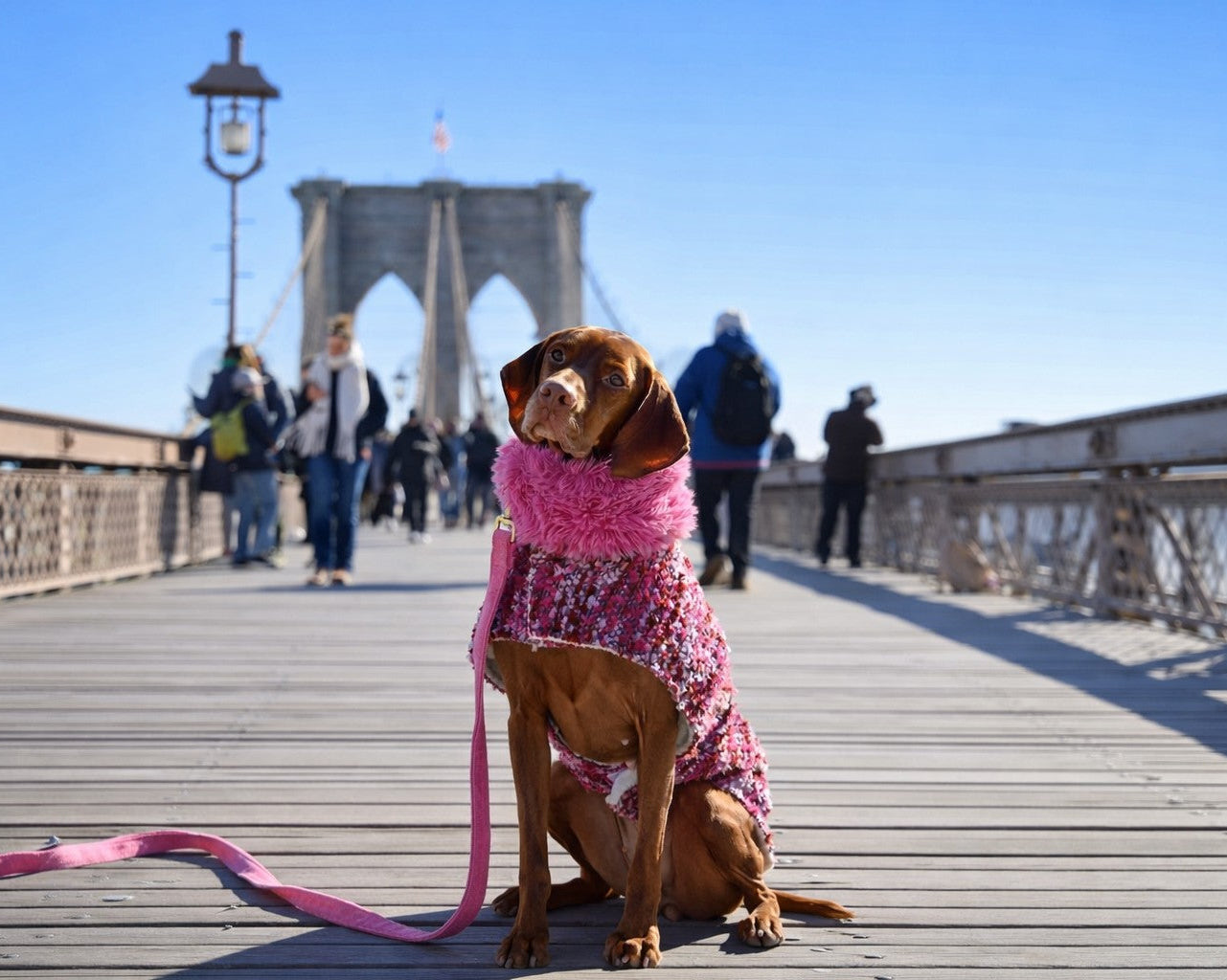 Manhattan Walking Coat