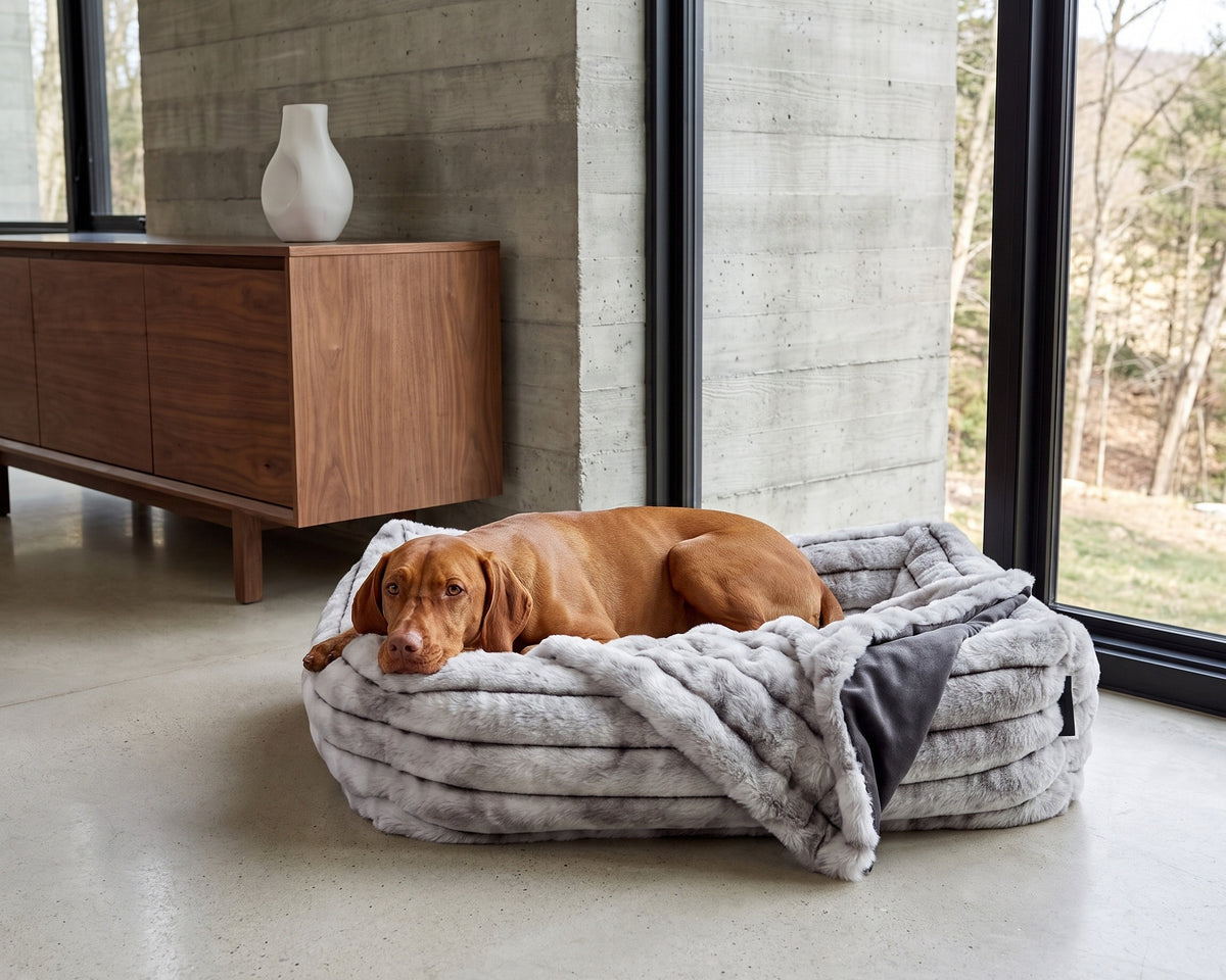 Vizsla lying on the Blanket Topper in Silver Fox inside a matching Silver Fox Franklin bed in a modern home.