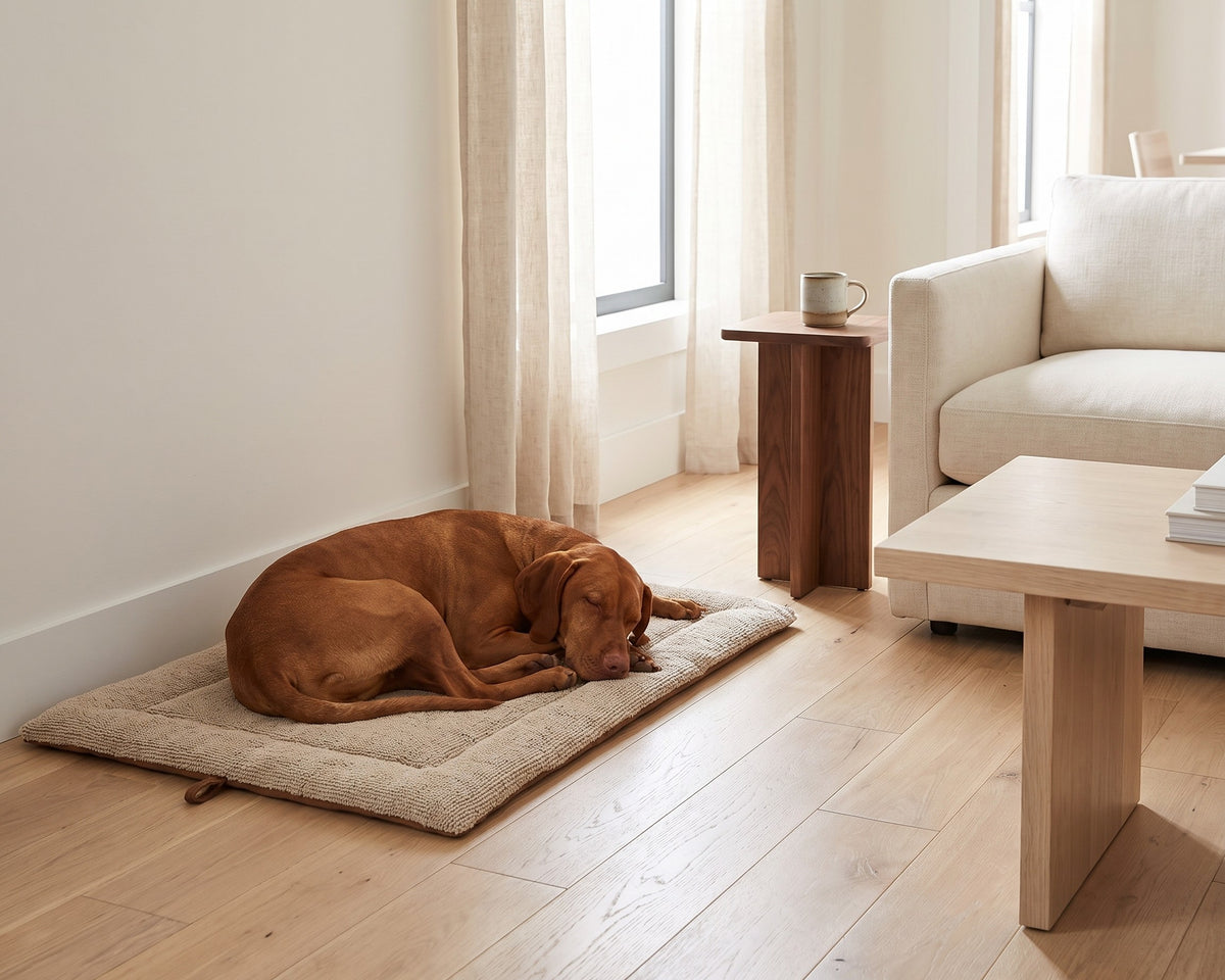 Vizsla asleep on the Cosmopolitan Mat in Oatmeal beside a sofa in a bright living room