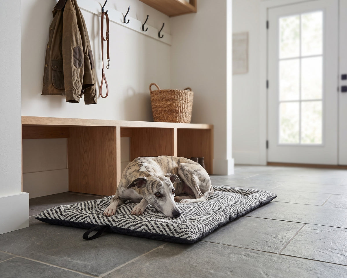 Whippet resting on the Cosmopolitan Mat in Diamondback in a modern mudroom