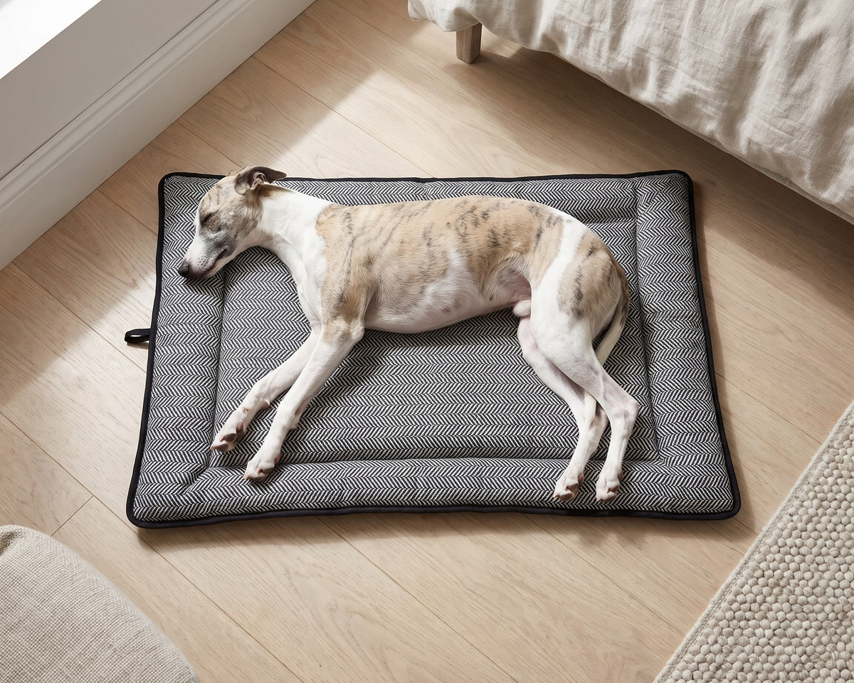 Whippet asleep on the Cosmopolitan Mat in Herringbone, seen from above