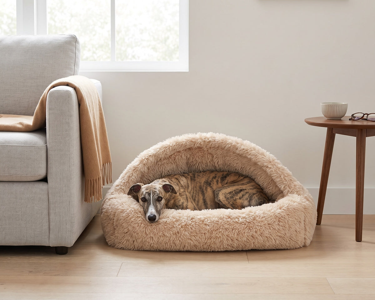 Whippet resting in the Canopy Cozy in Fluffernutter beside a sofa in a bright living room