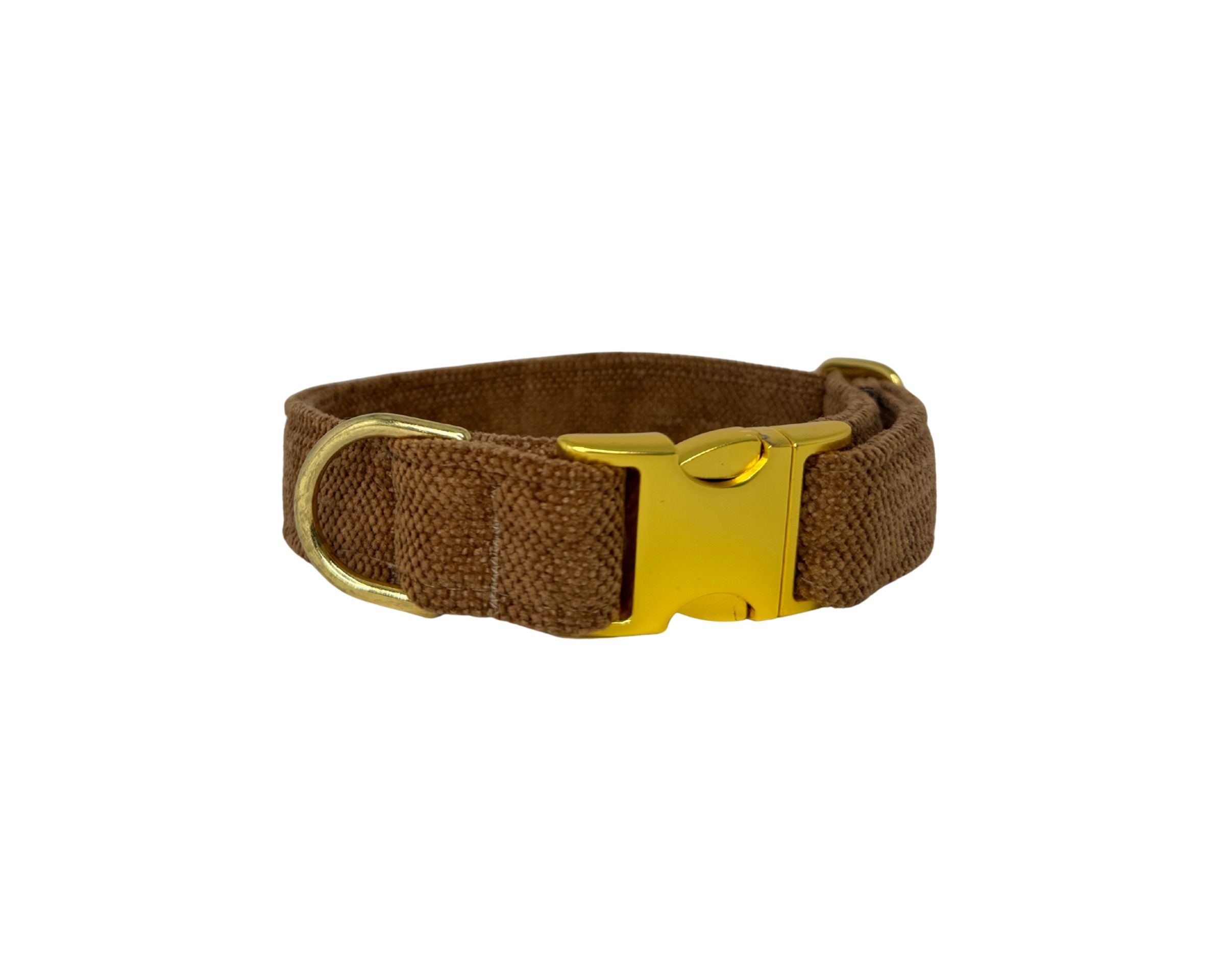 Designer Buckle Collar