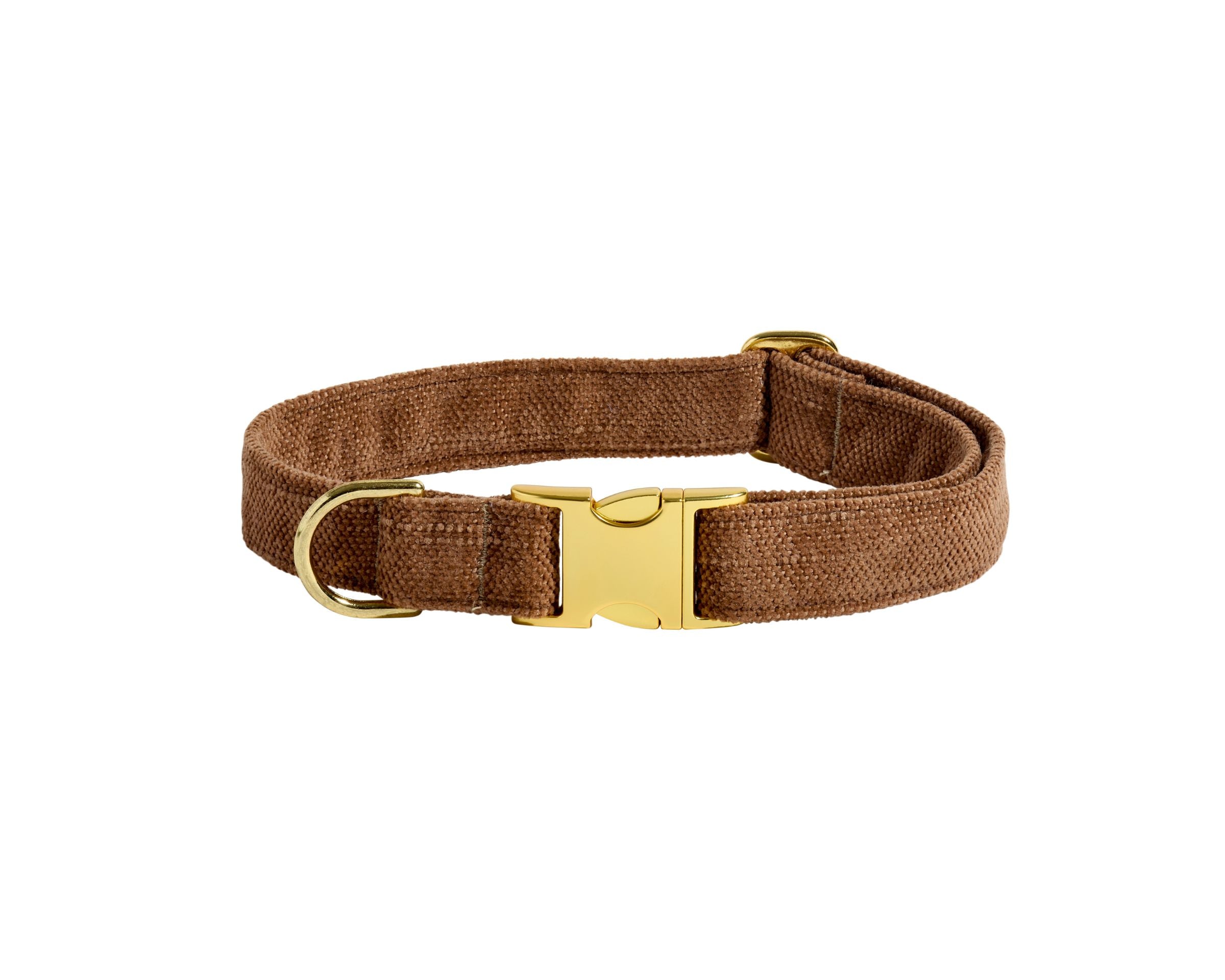 Designer Buckle Collar
