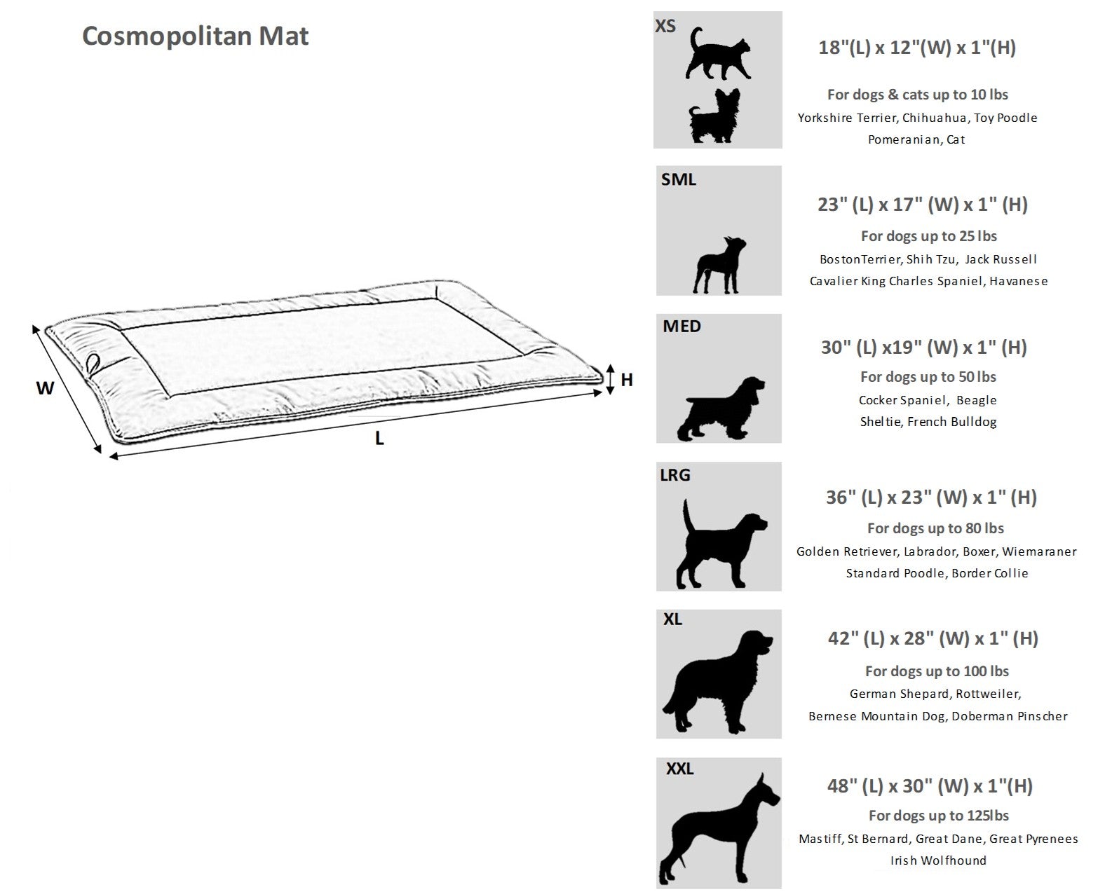 Size Chart Image