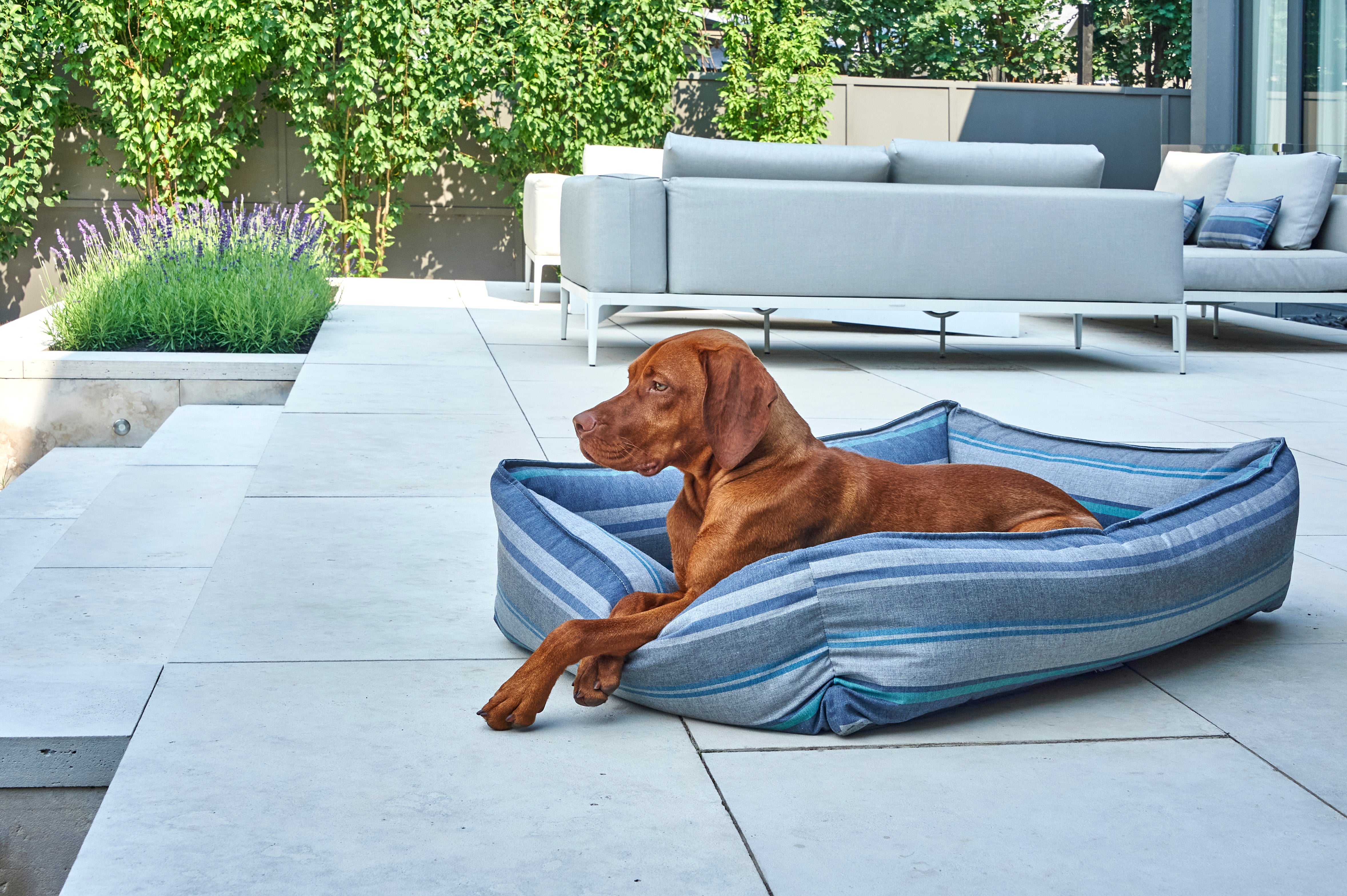 Outdoor Urban Lounger