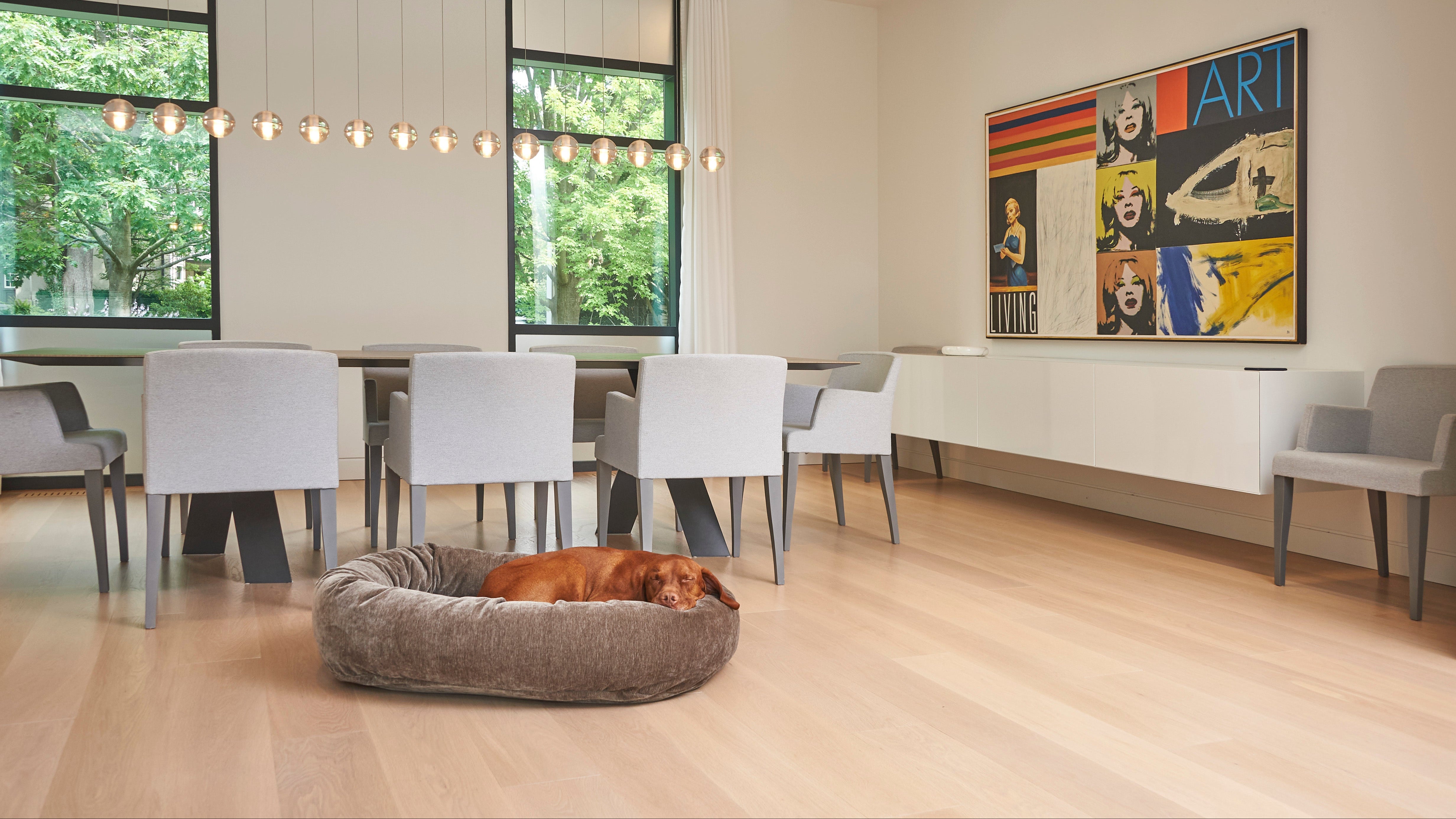 Donut Bed - Signature Solids