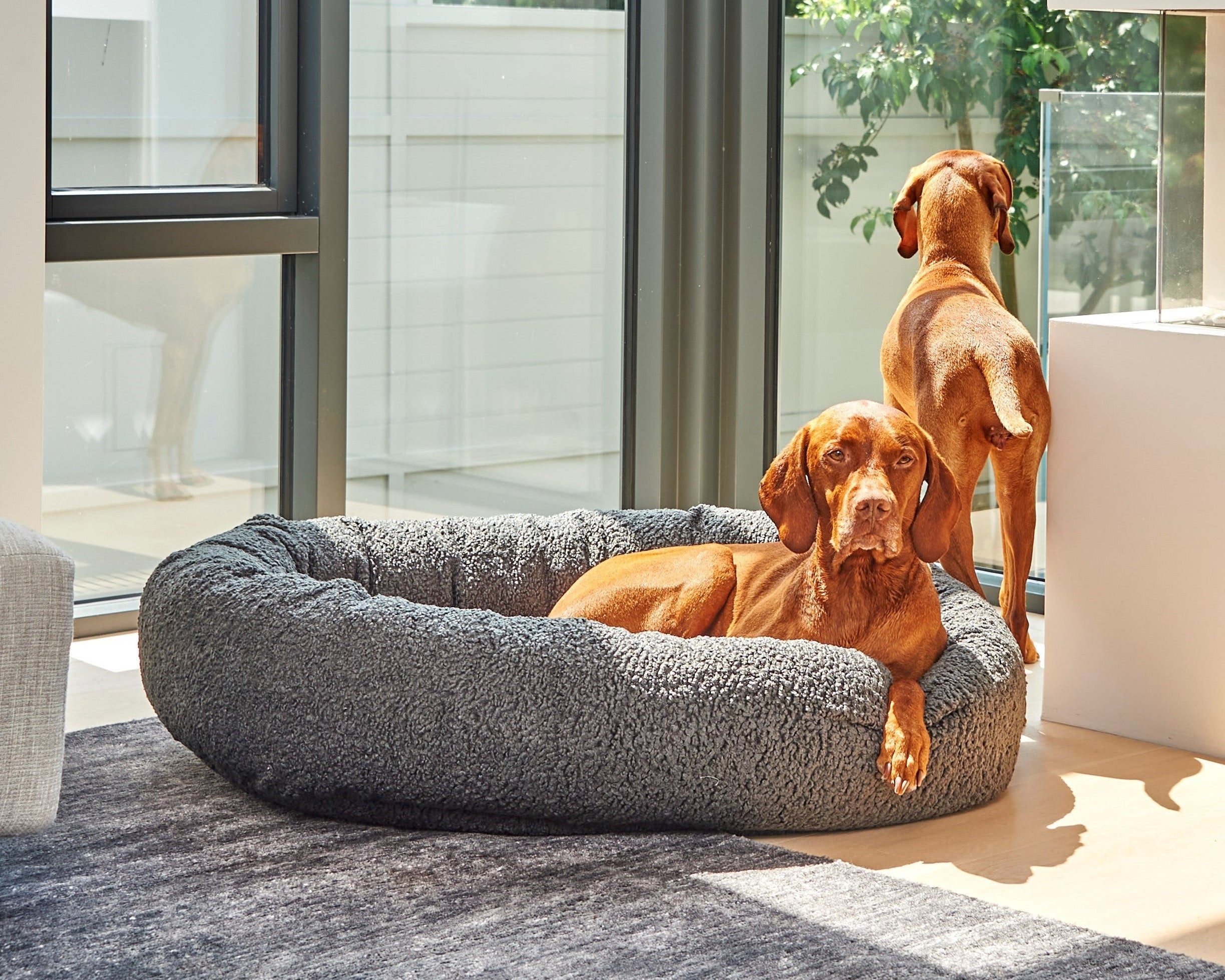 Donut Bed - Signature Solids