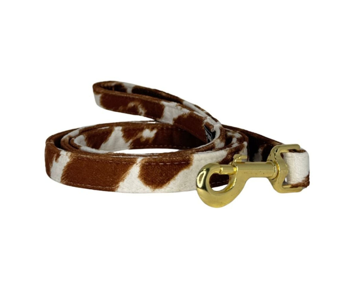 Designer Leash in Durango