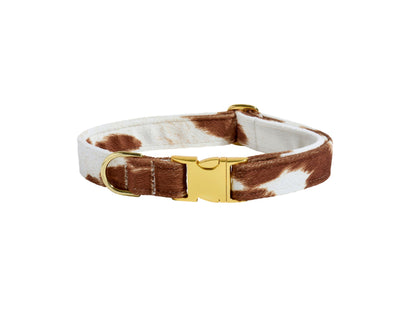 Designer Buckle Collar