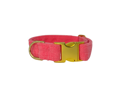 Designer Buckle Collar