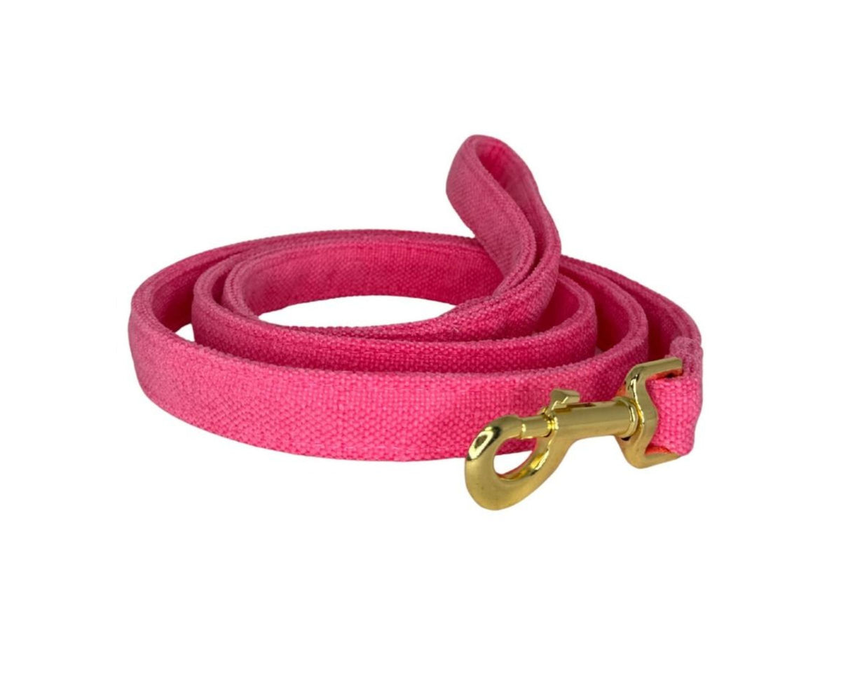 Designer Leash in Flamingo